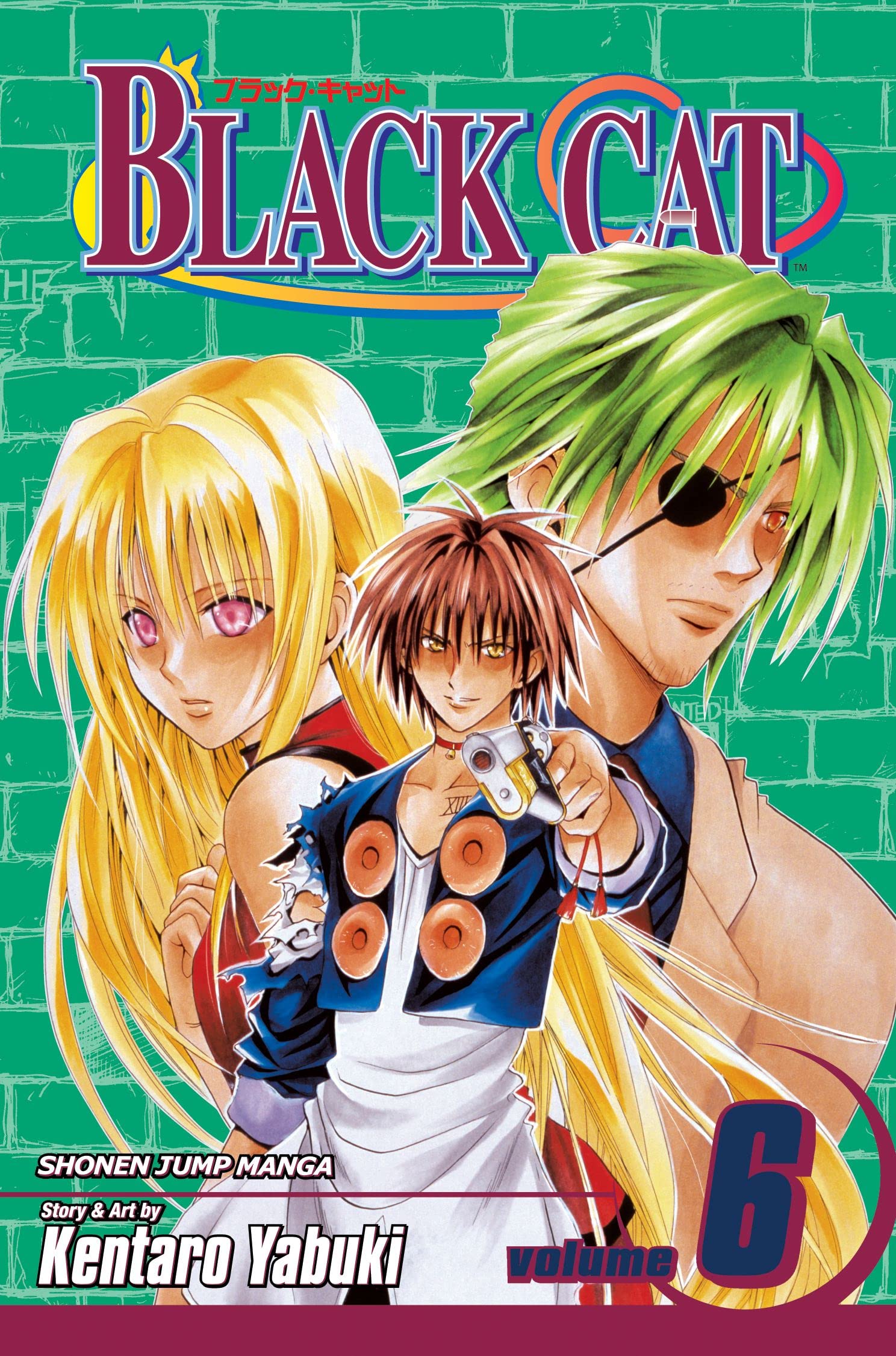 Black Cat, Vol. 6,Used