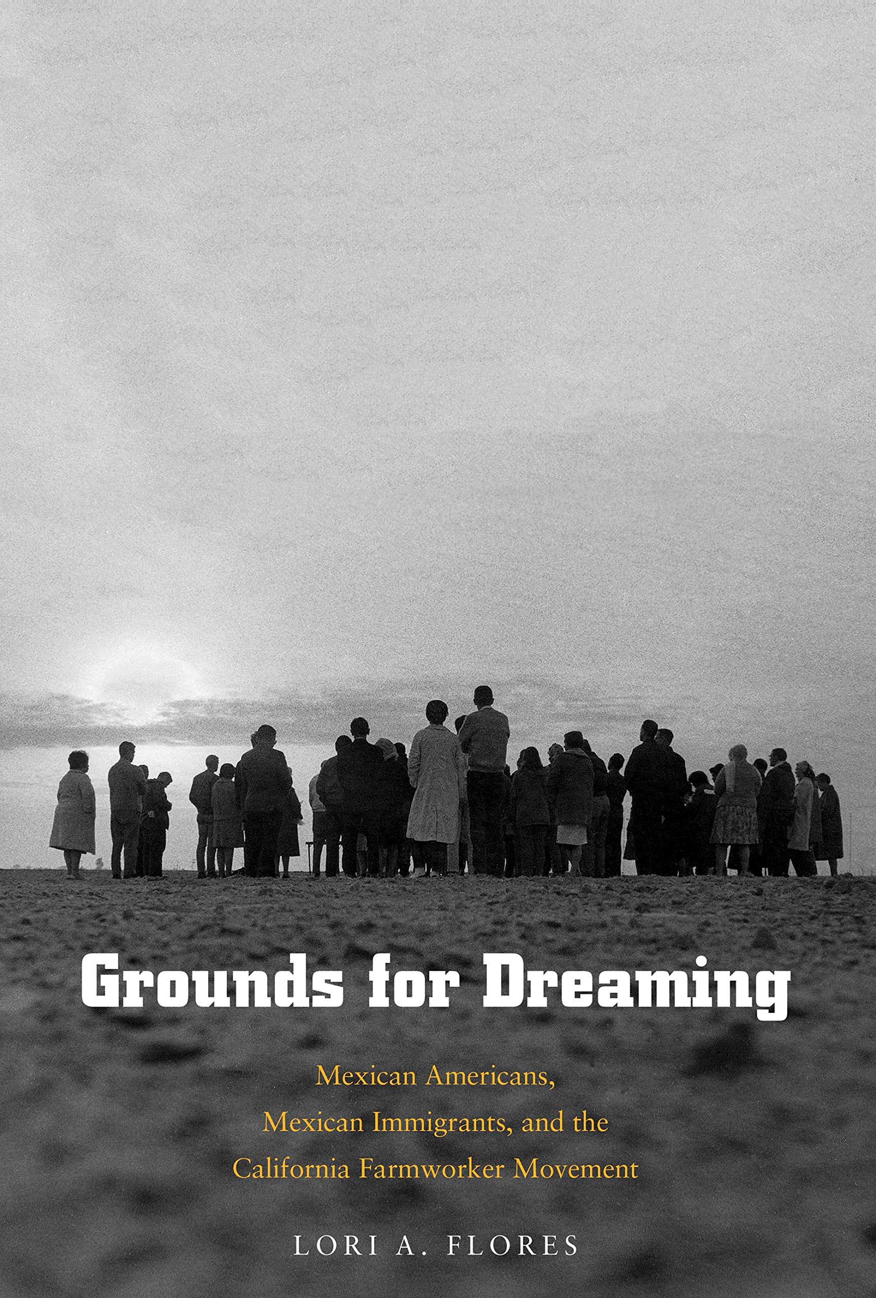 Grounds for Dreaming: Mexican Americans, Mexican Immigrants, and the California Farmworker Movement (The Lamar Series in Western,Used
