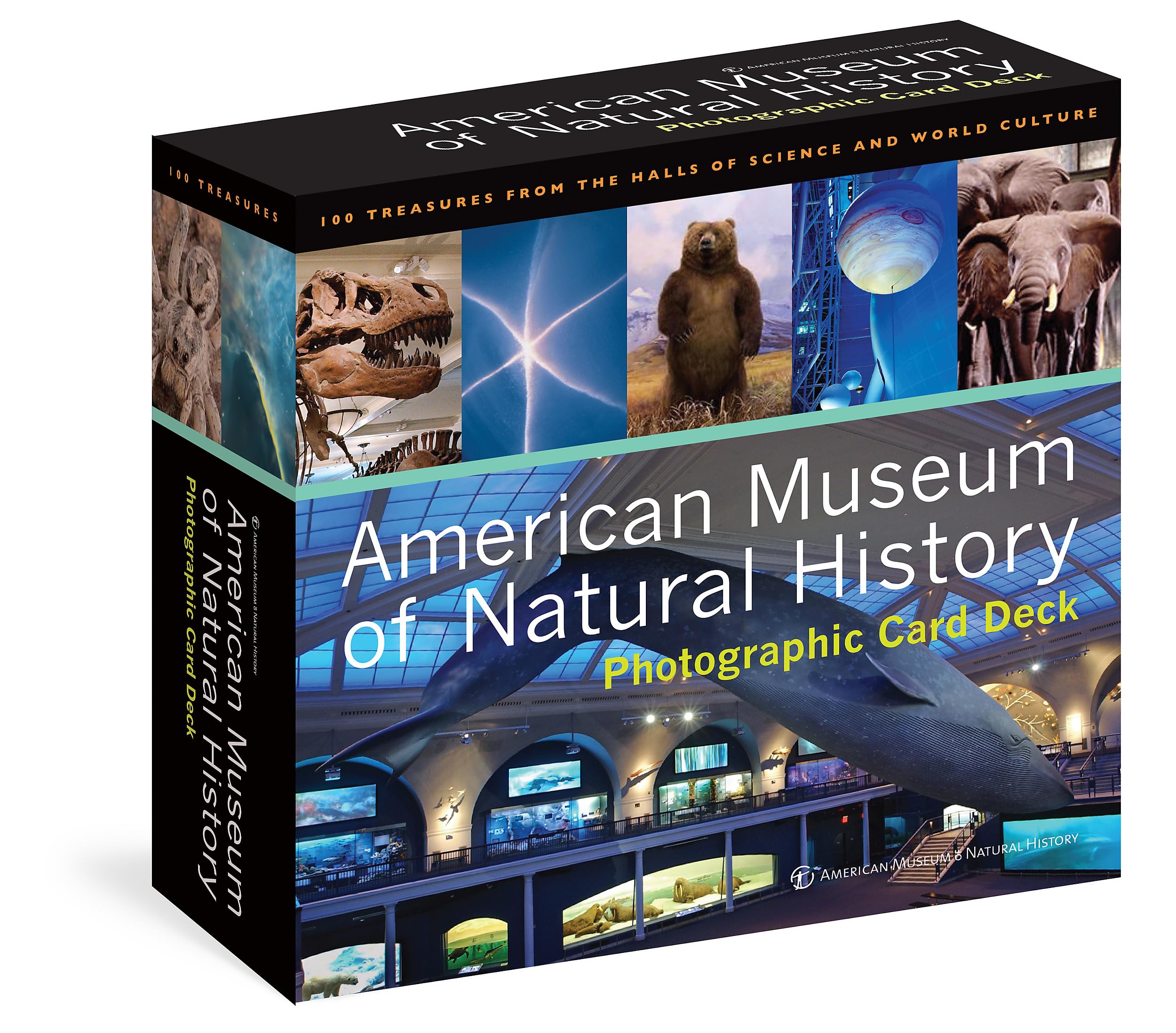 American Museum Of Natural History Card Deck: 100 Treasures From The Hall Of Science And World Culture