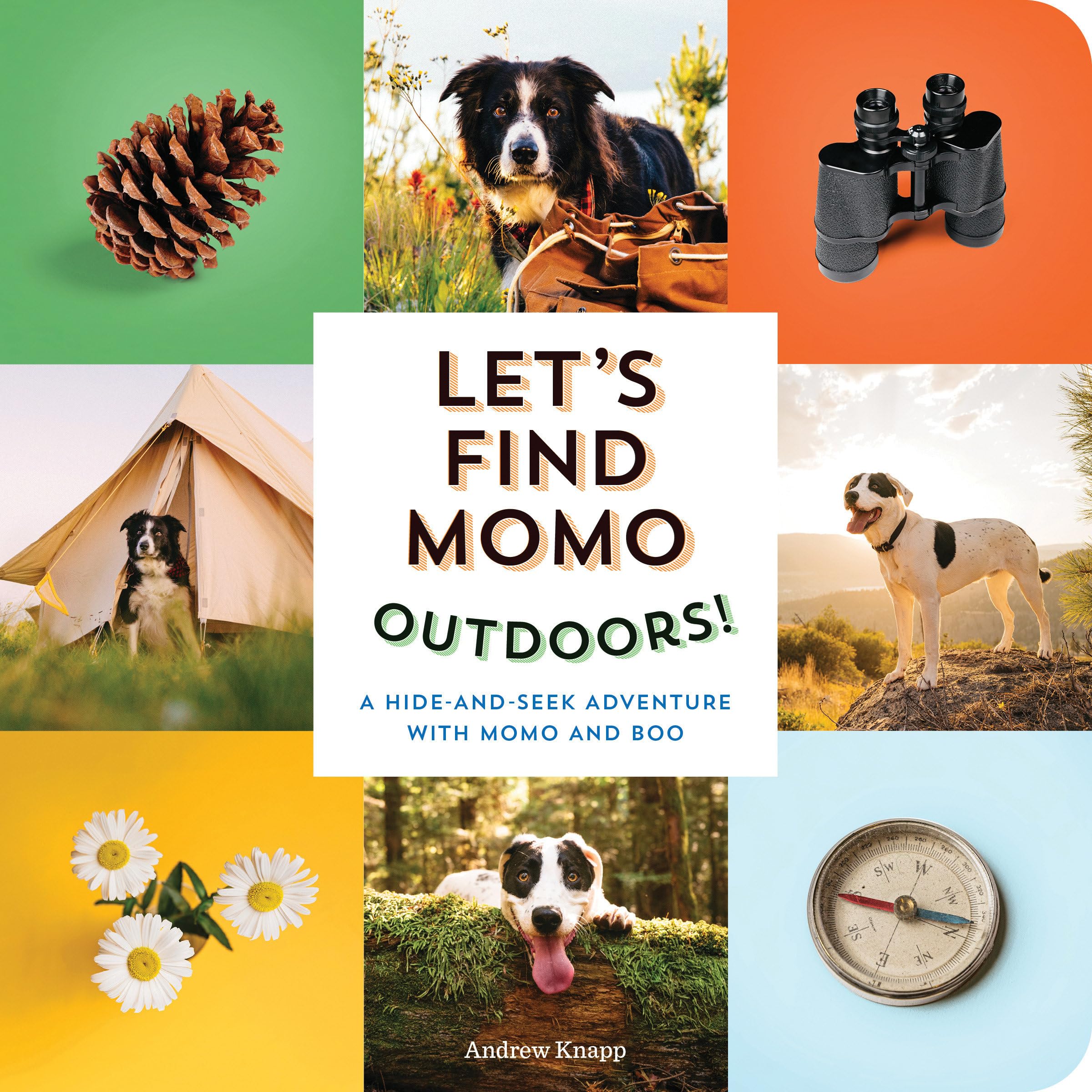Let's Find Momo Outdoors!: A HideandSeek Adventure with Momo and Boo,Used