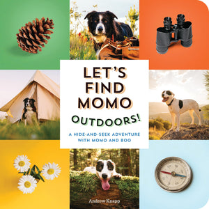 Let's Find Momo Outdoors!: A HideandSeek Adventure with Momo and Boo,Used