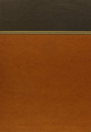 Handbook of Middle American Indians: Volume 16, Sources Cited and Artifacts Illustrated,Used