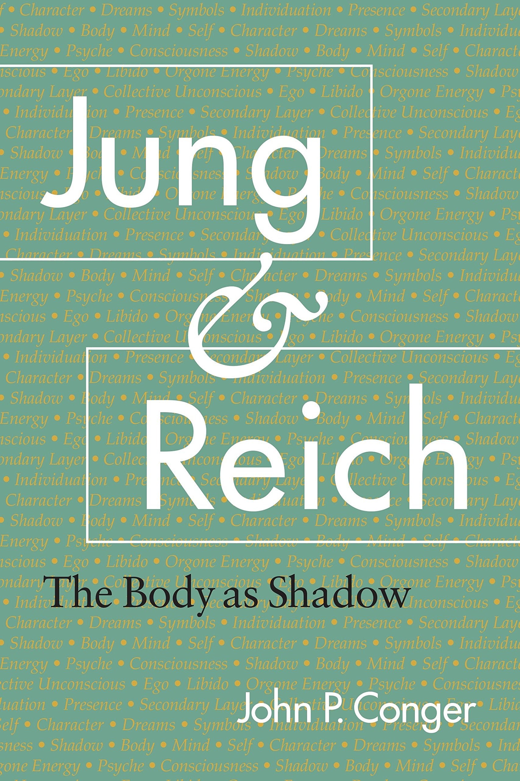 Jung and Reich: The Body as Shadow,Used