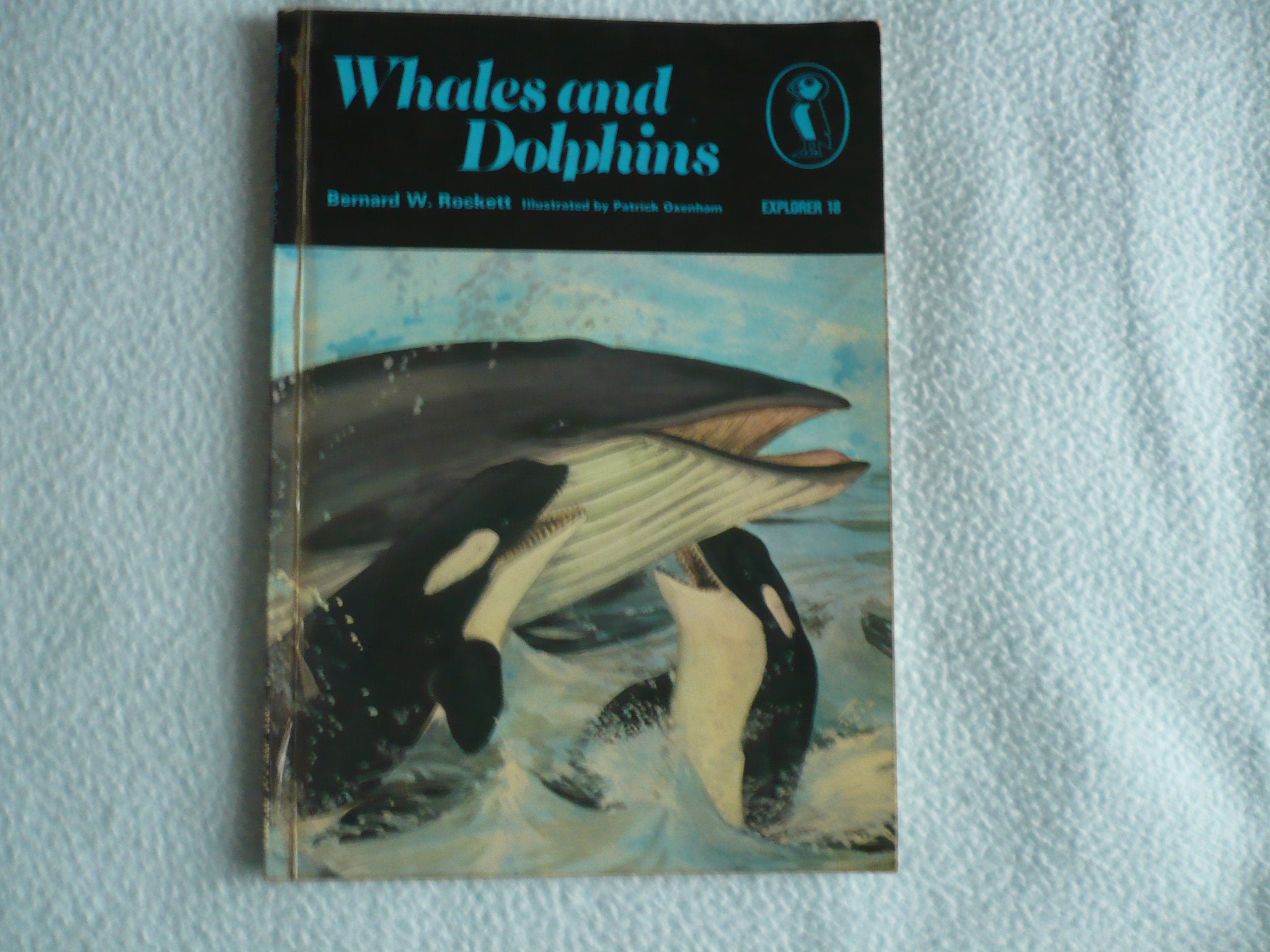 Whales and Dolphins,Used