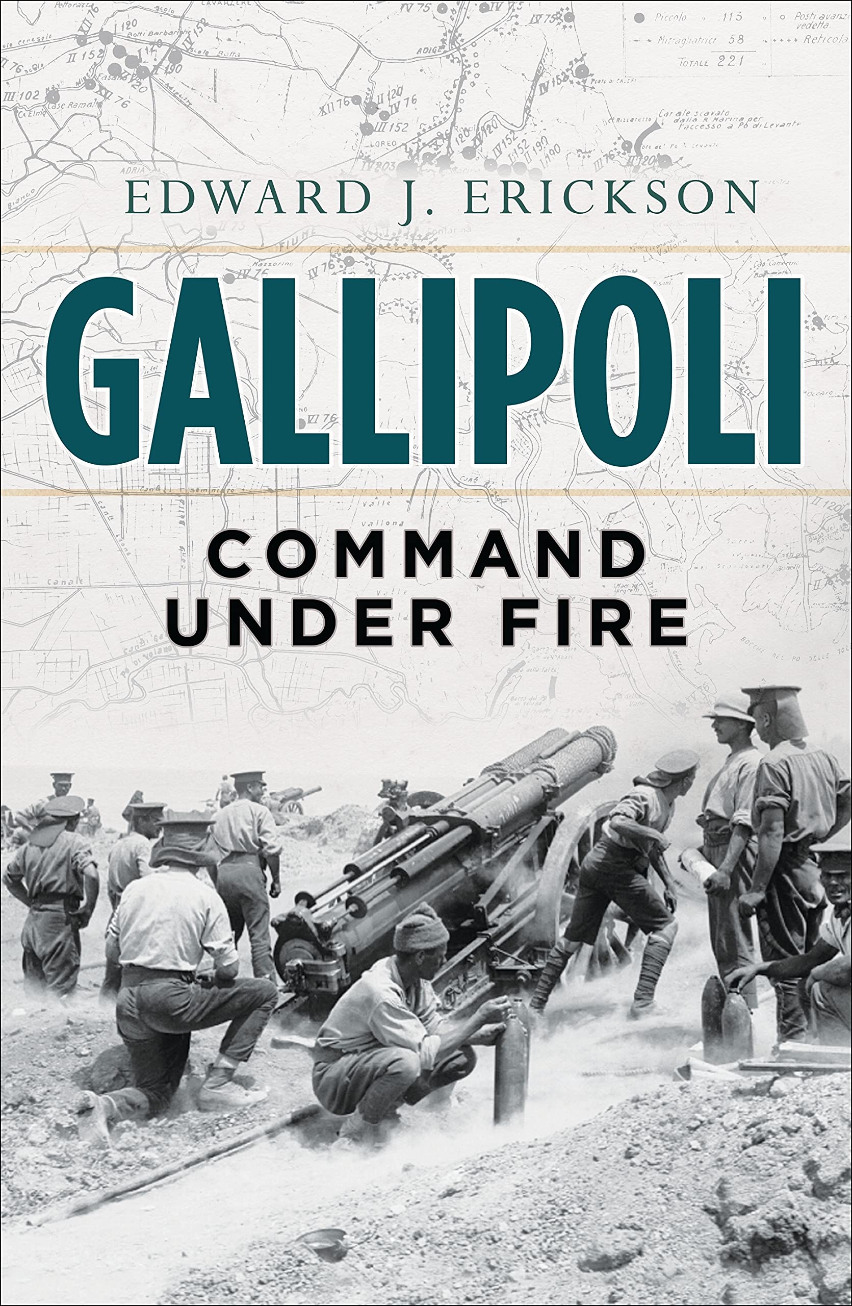 Gallipoli: Command Under Fire (General Military),Used