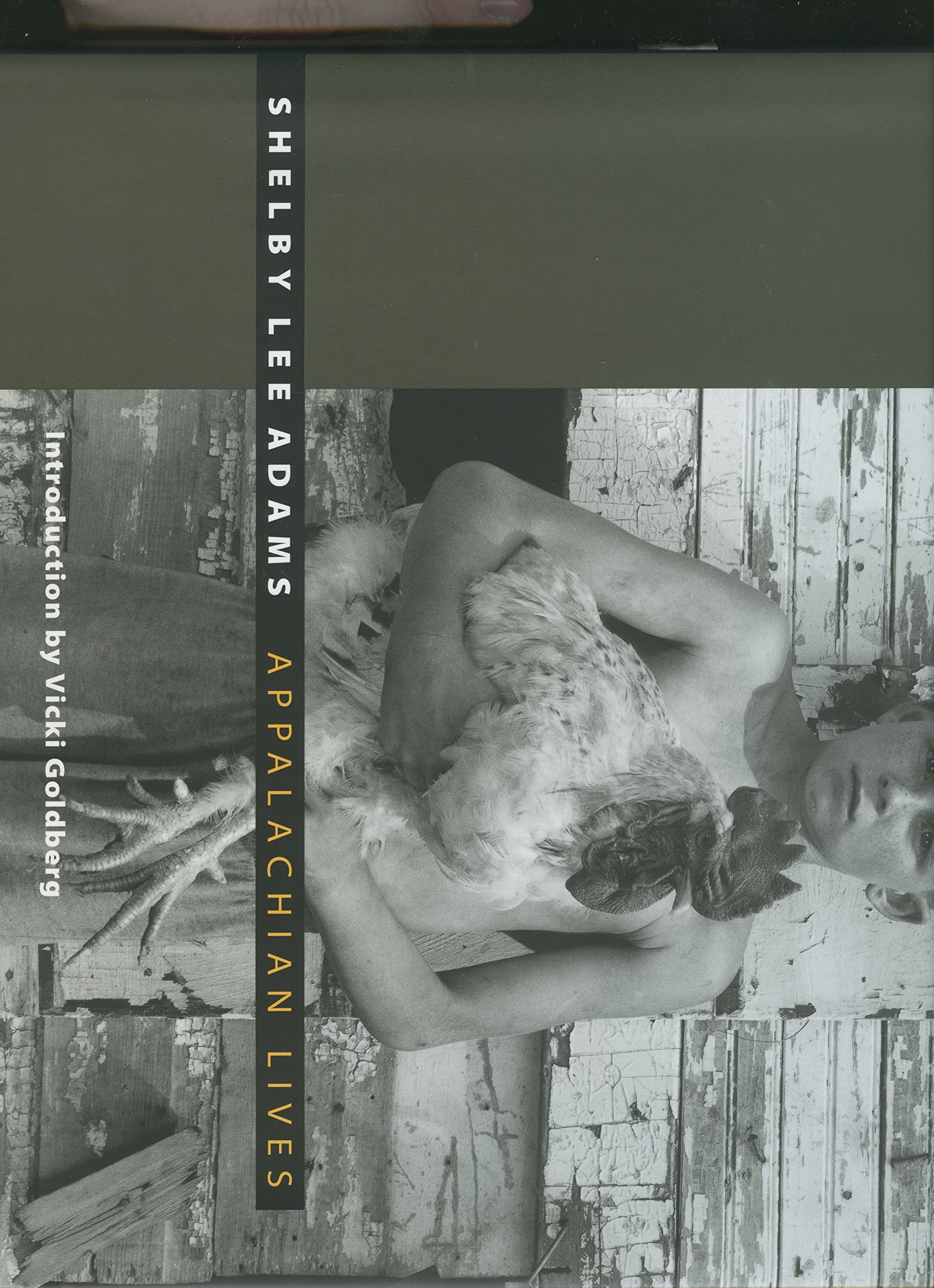 Appalachian Lives