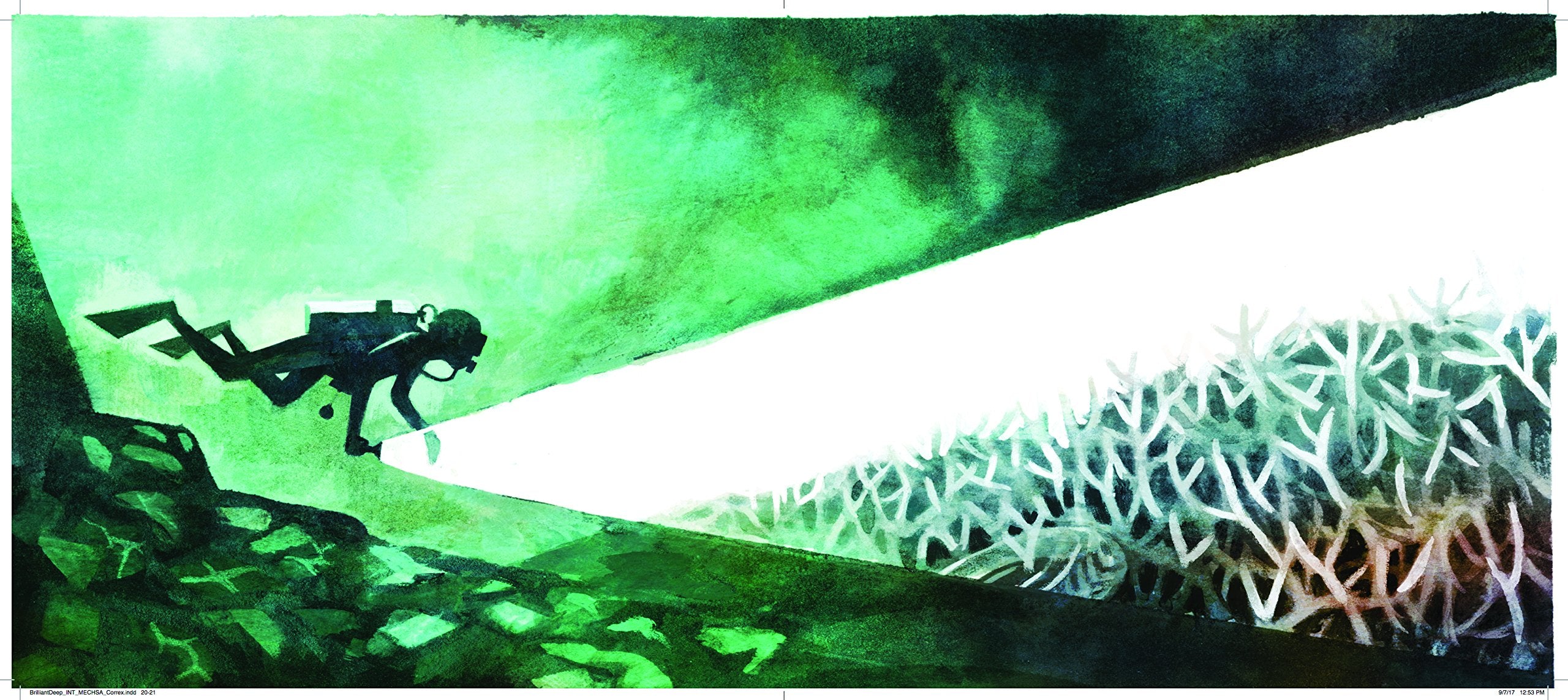 The Brilliant Deep: Rebuilding the World's Coral Reefs: The Story of Ken Nedimyer and the Coral Restoration Foundation (Environm,Used