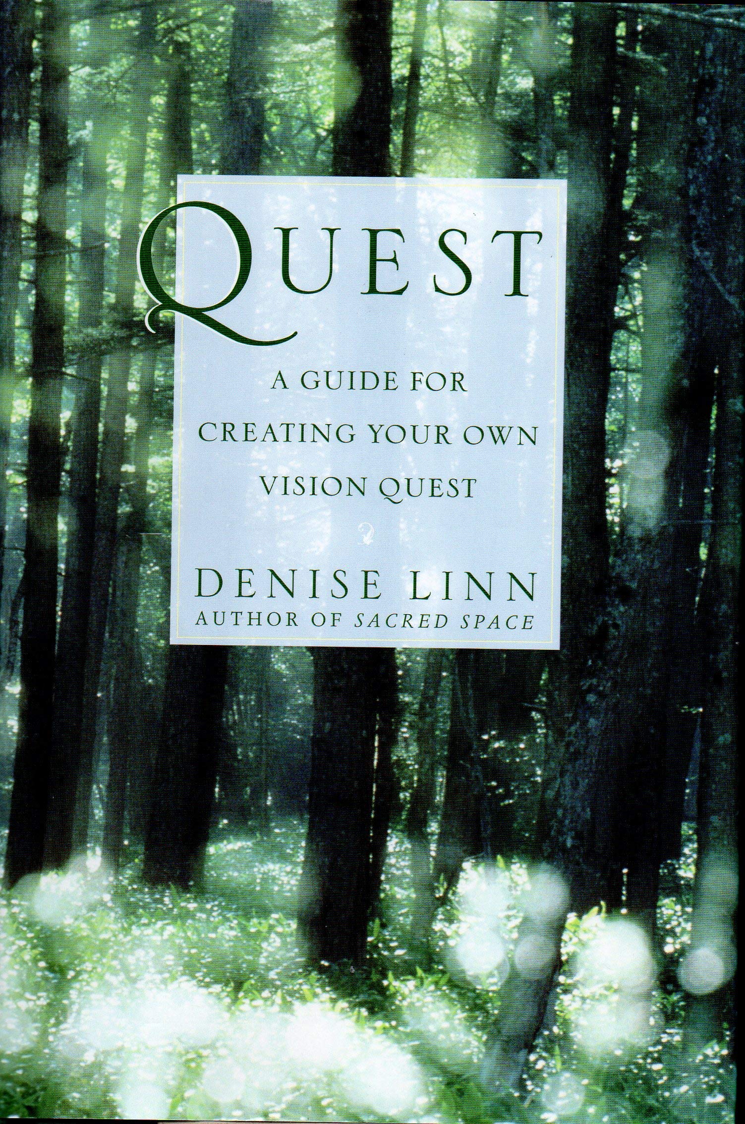 Quest: A Guide For Creating Your Own Vision Quest-used