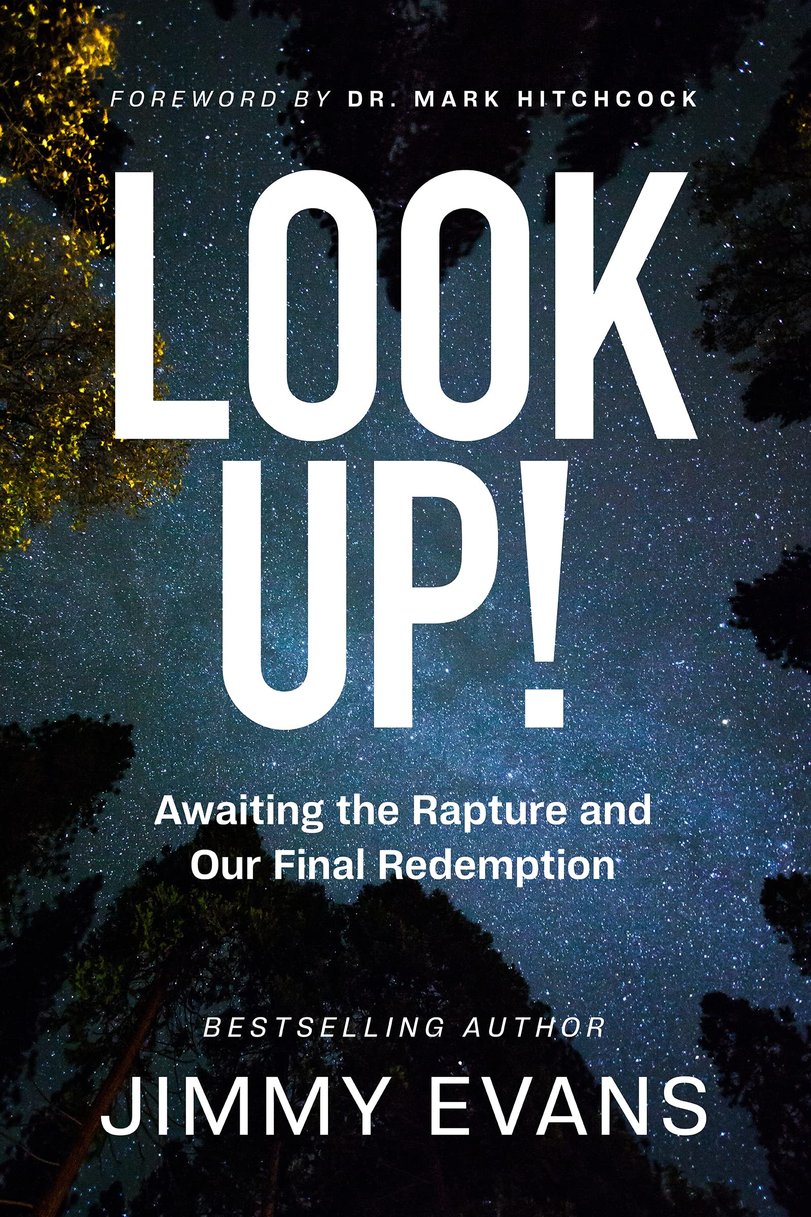 Look Up!: Awaiting The Rapture And Our Final Redemption