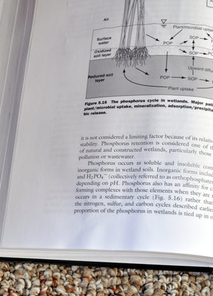 Polish Literature and the Holocaust: Eyewitness Testimonies, 19421947,Used