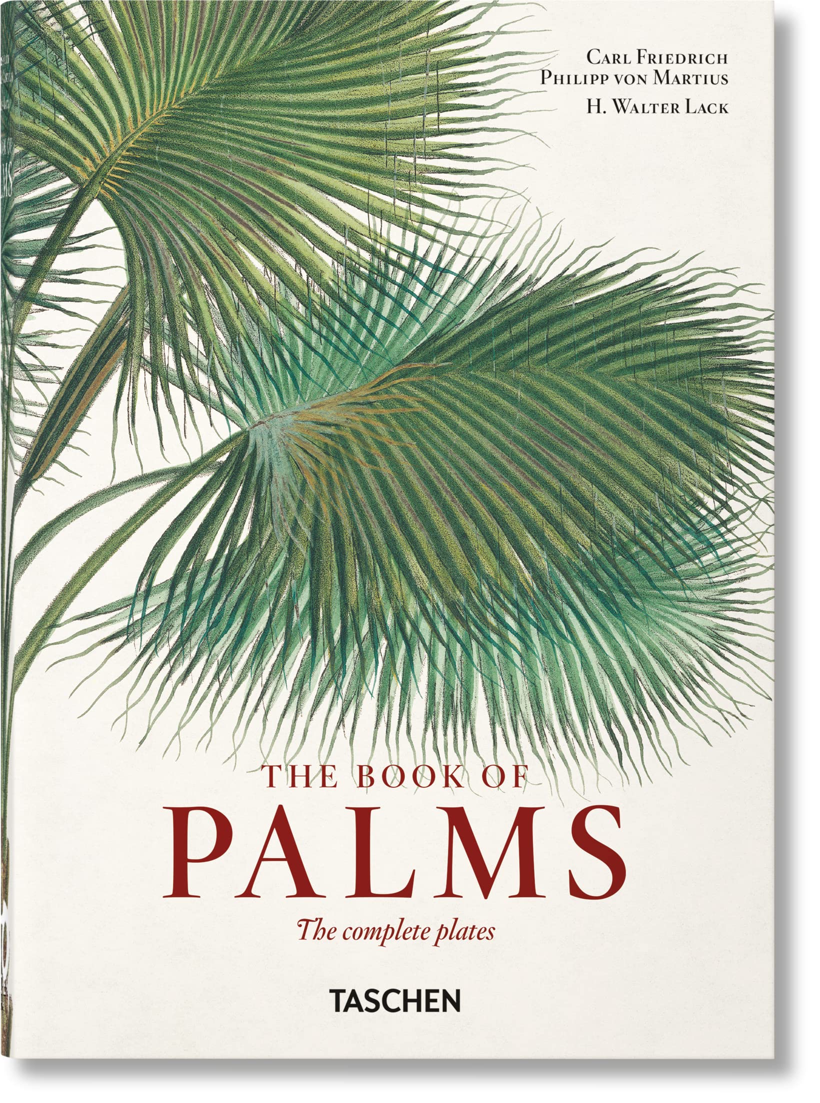 Martius. The Book Of Palms. 40Th Ed.,Used