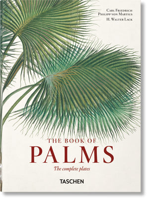 Martius. The Book Of Palms. 40Th Ed.,Used