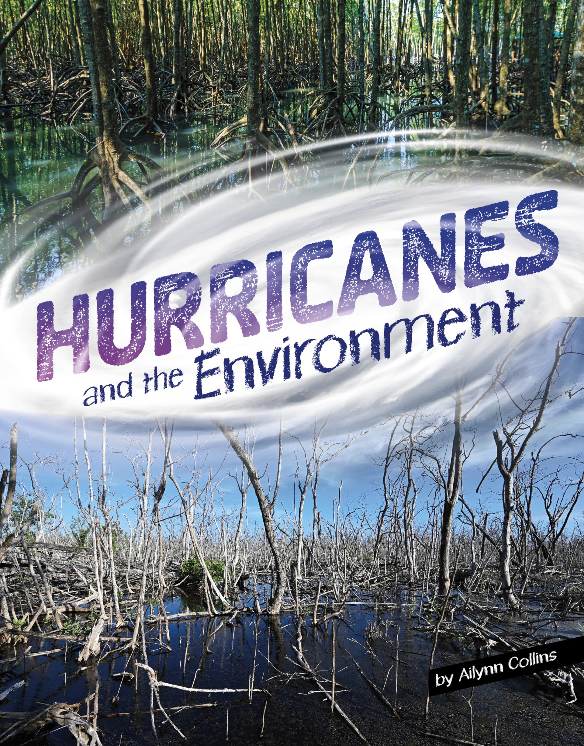 Hurricanes and the Environment (Disasters and the Environment),New