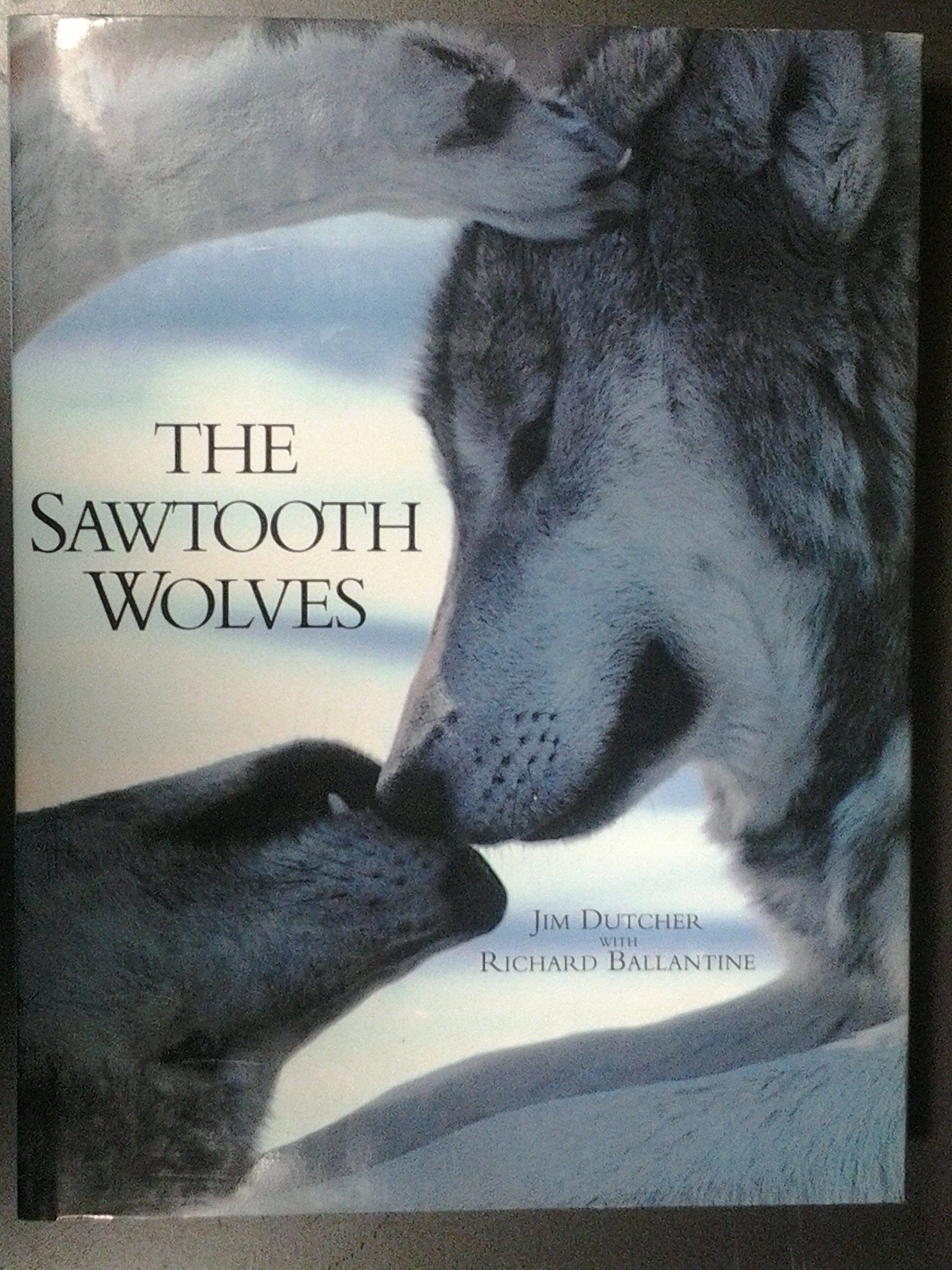 The Sawtooth Wolves,Used