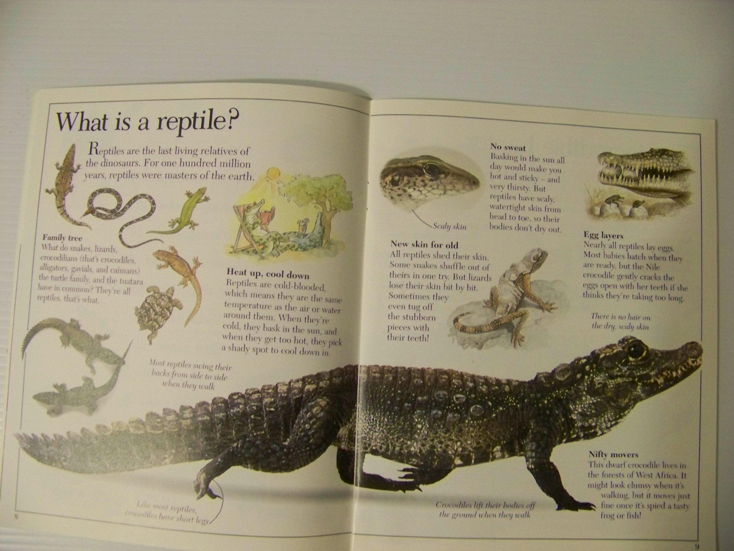 Amazing Crocodiles and Reptiles (Eyewitness Juniors),Used