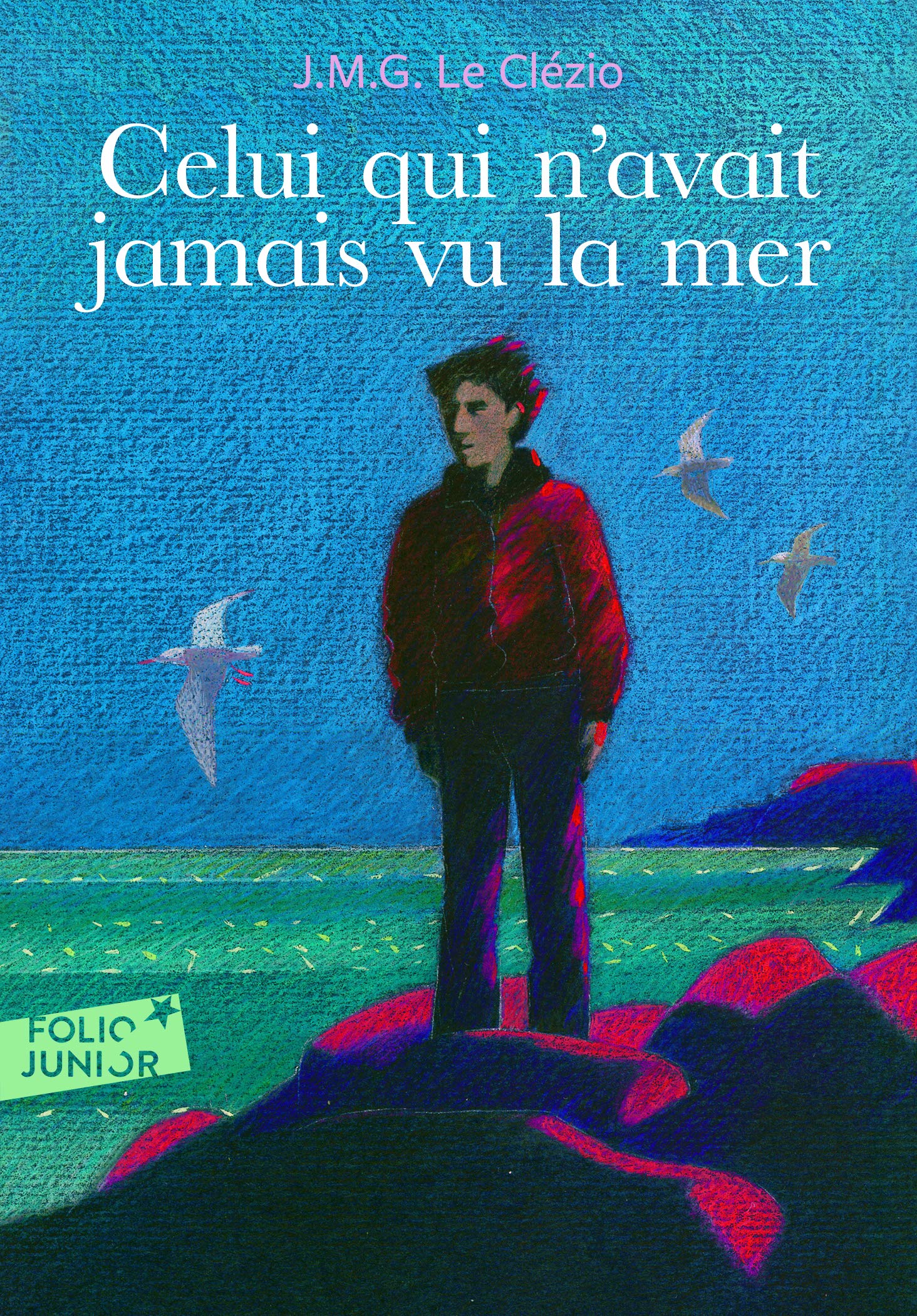 Celui Qui N Avait Jamai (Folio Junior) (French Edition),Used