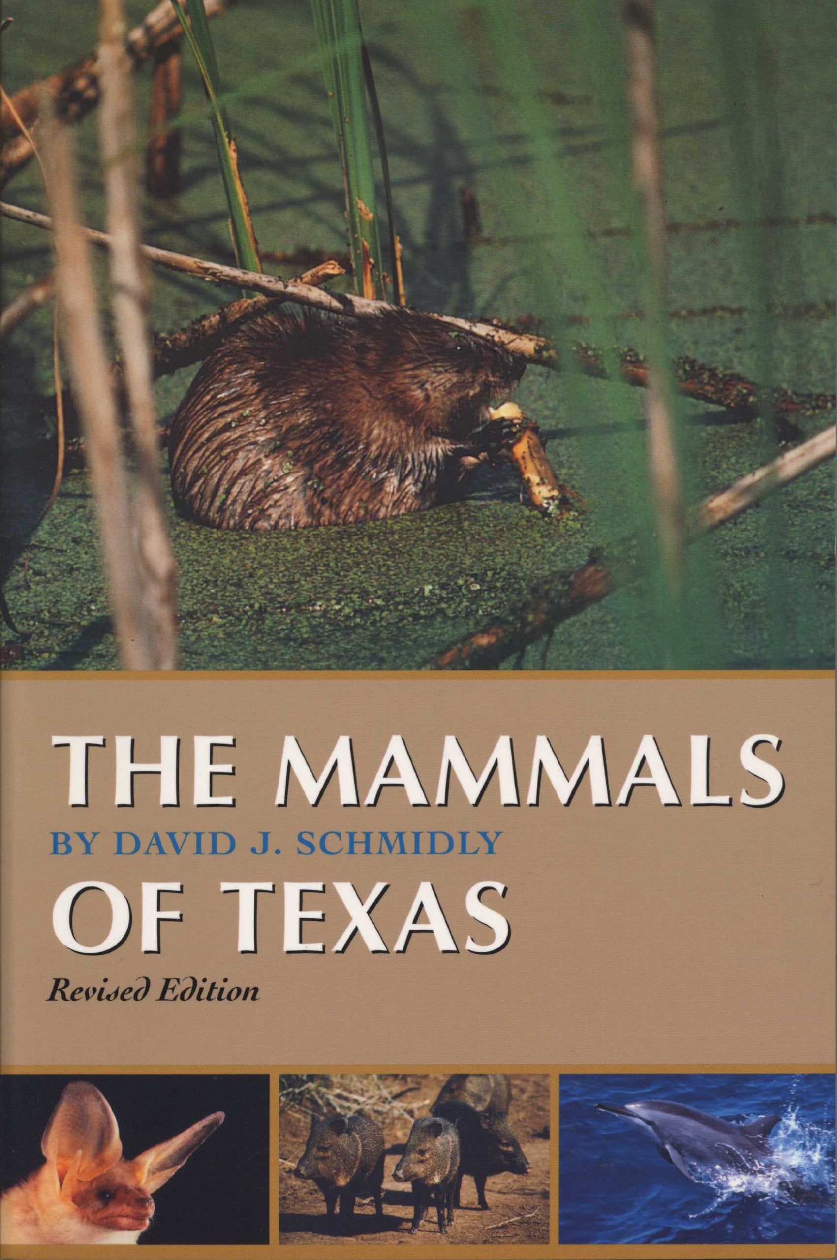 The Mammals of Texas: Revised Edition (Corrie Herring Hooks Series),Used