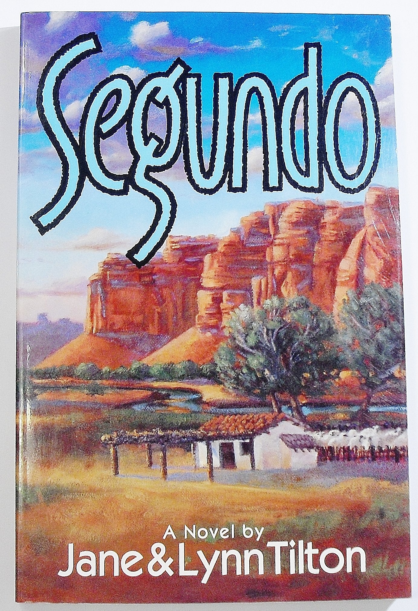 Segundo: A Novel,Used