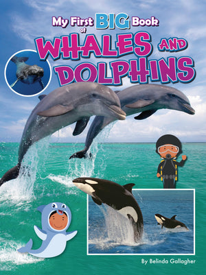 My First Big Book Of Whales And Dolphins