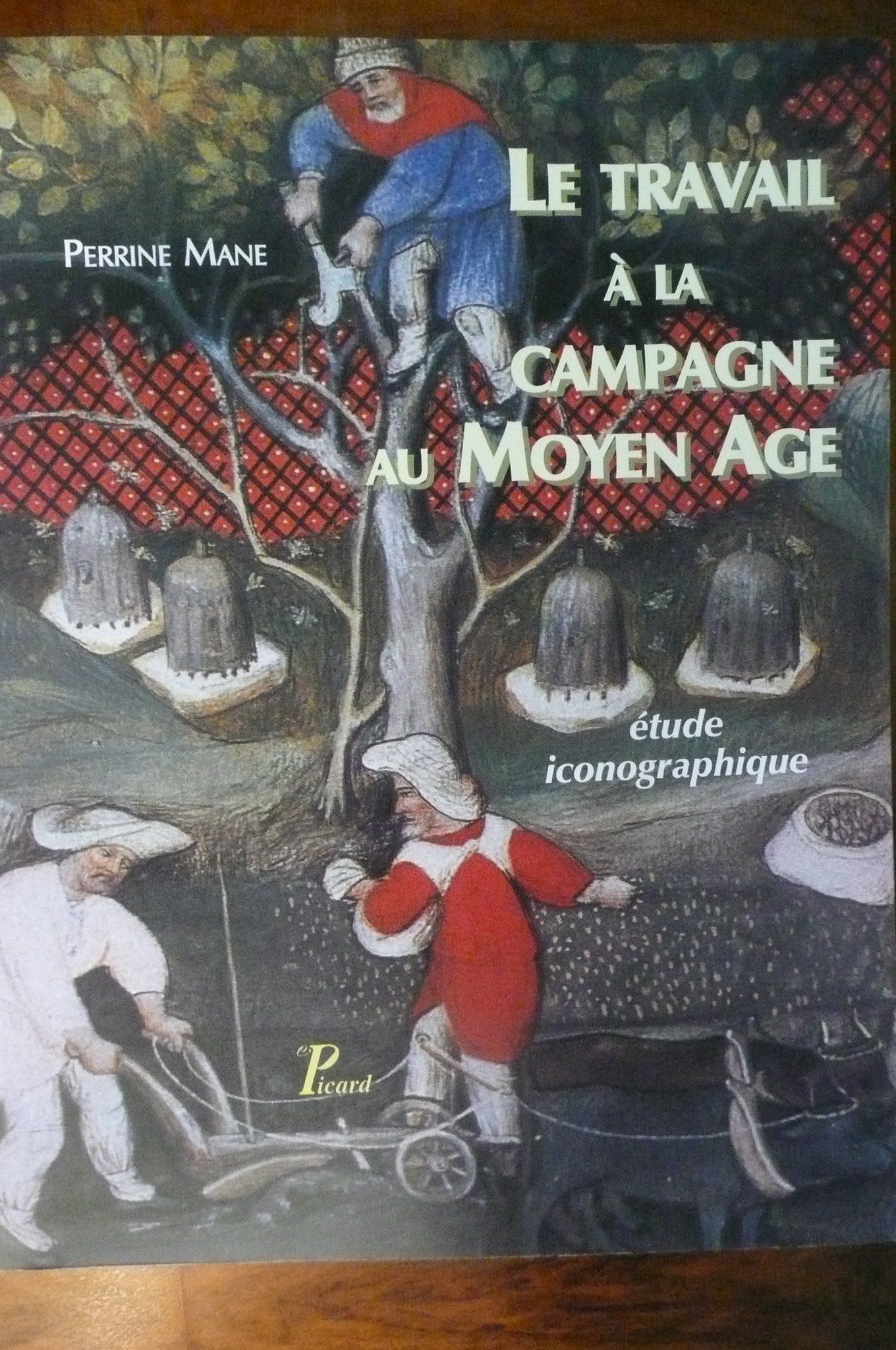 LE TRAVAIL A LA CAMPAGNE AU MOYEN AGE: ETUDE ICONOGRAPHIQUE,Used