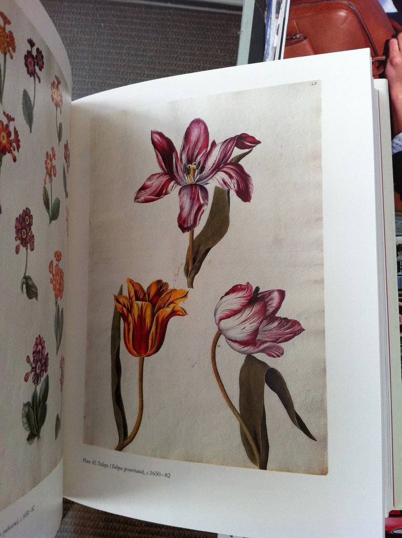 Amazing Rare Things /anglais,Used