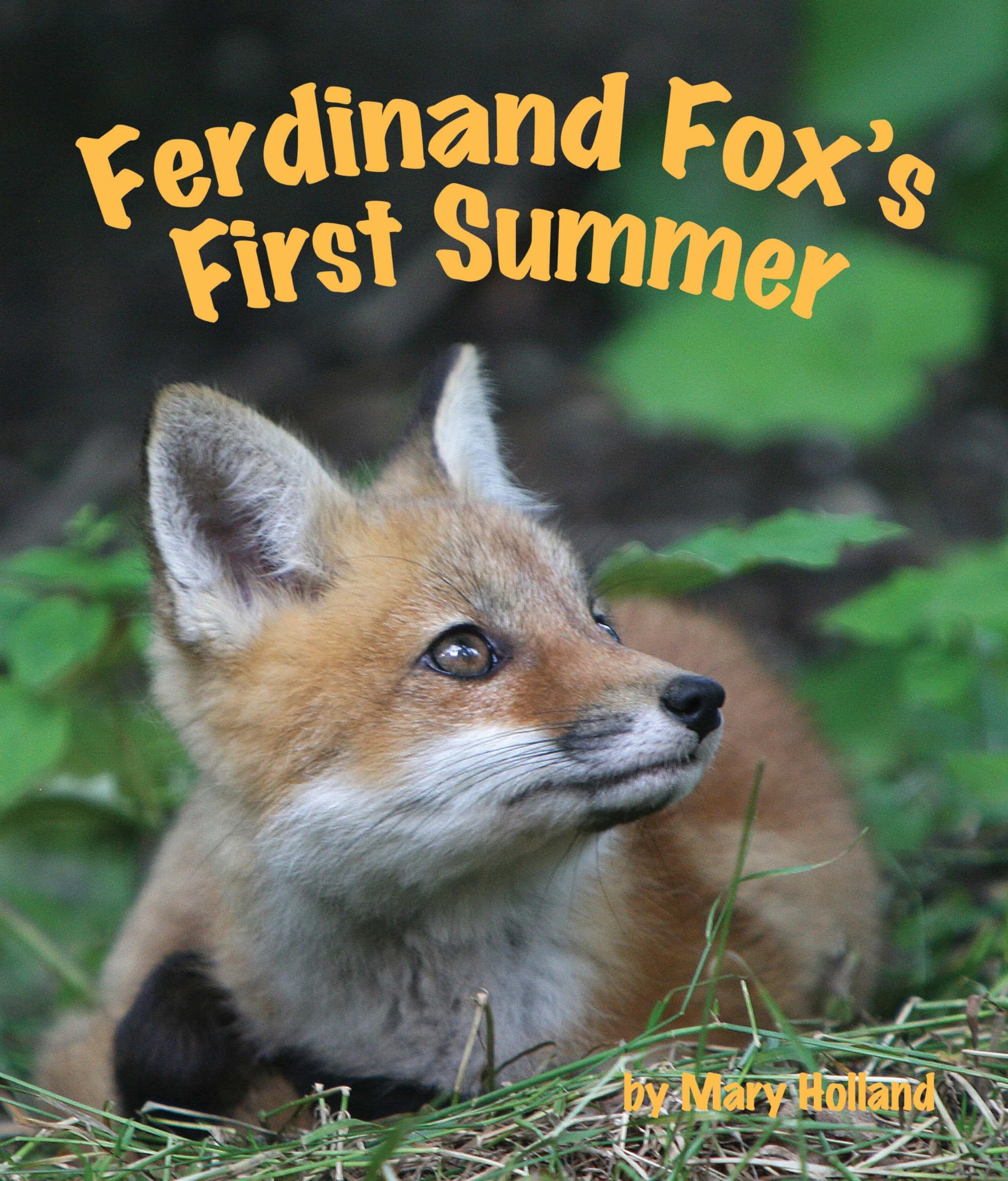 Ferdinand Fox's First Summer (Arbordale Collection),Used