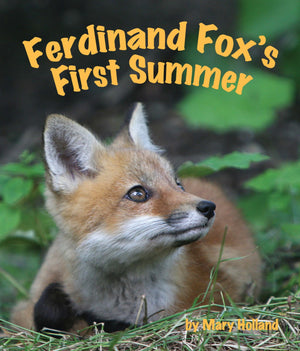 Ferdinand Fox'S First Summer (Arbordale Collection)