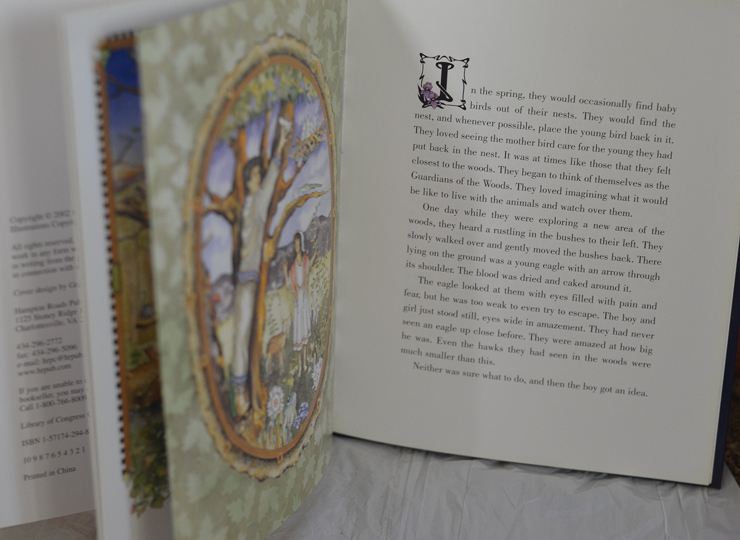 Dreamsong of the Eagle,Used