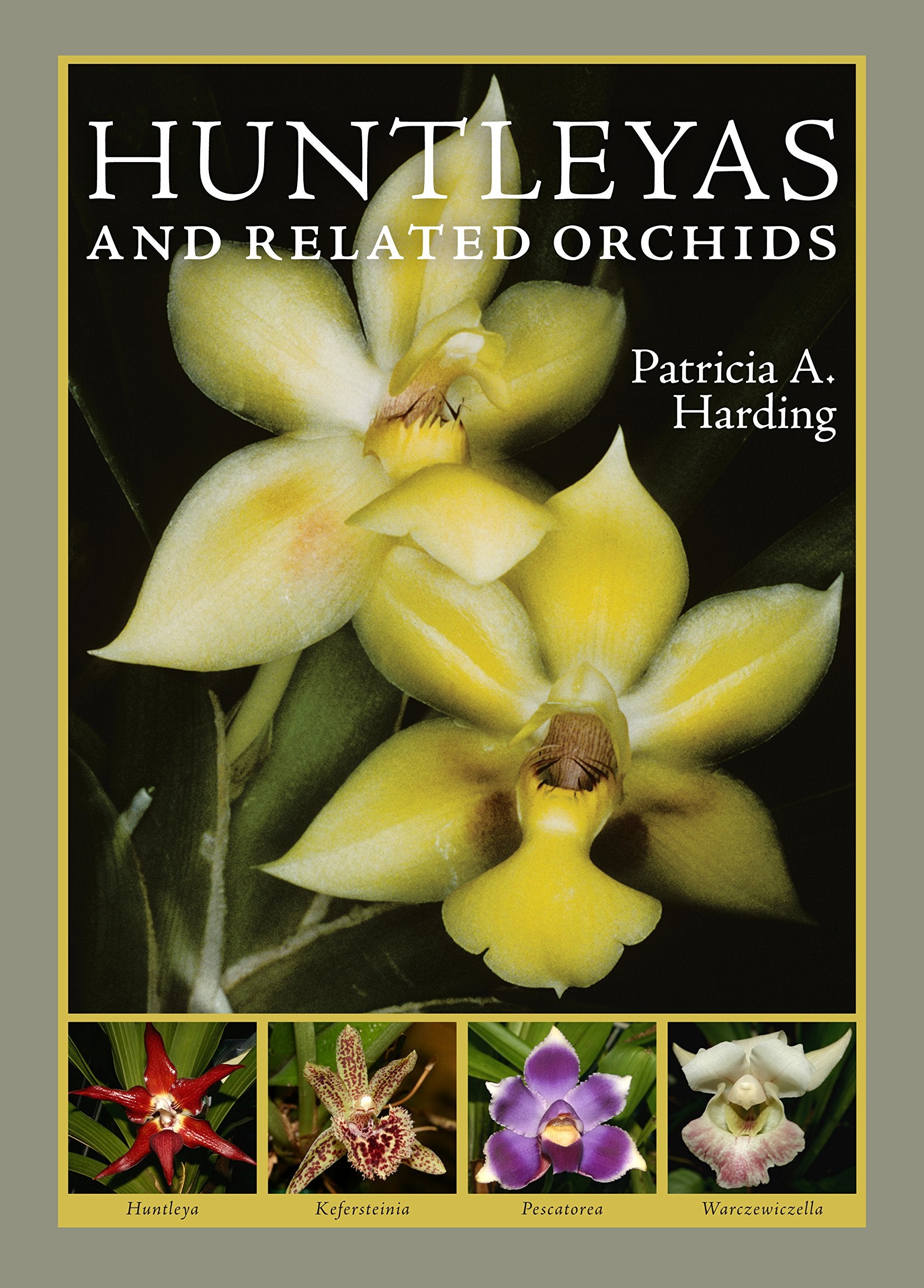 Huntleyas and Related Orchids,Used