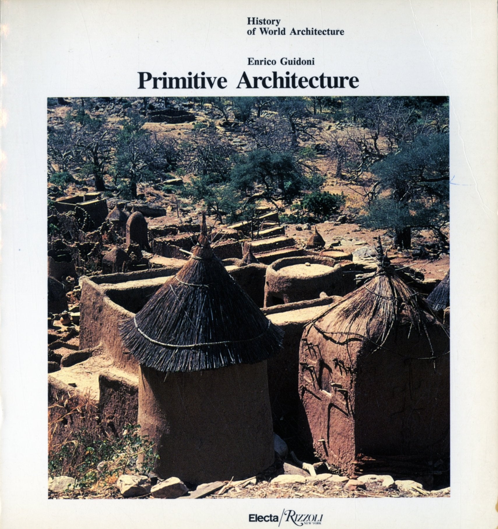 Primitive Architecture (History of World Architecture),Used
