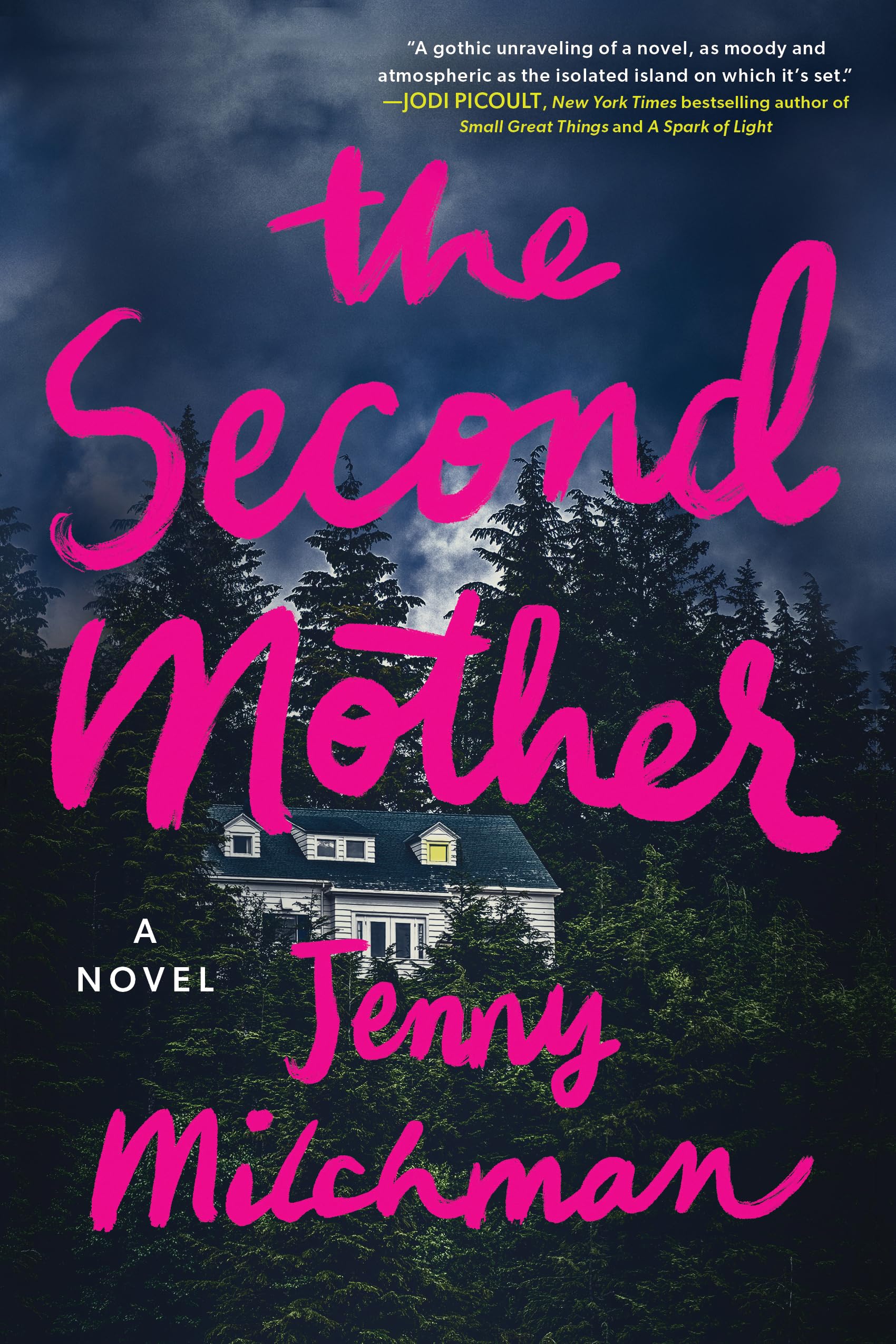 The Second Mother: A Novel,Used