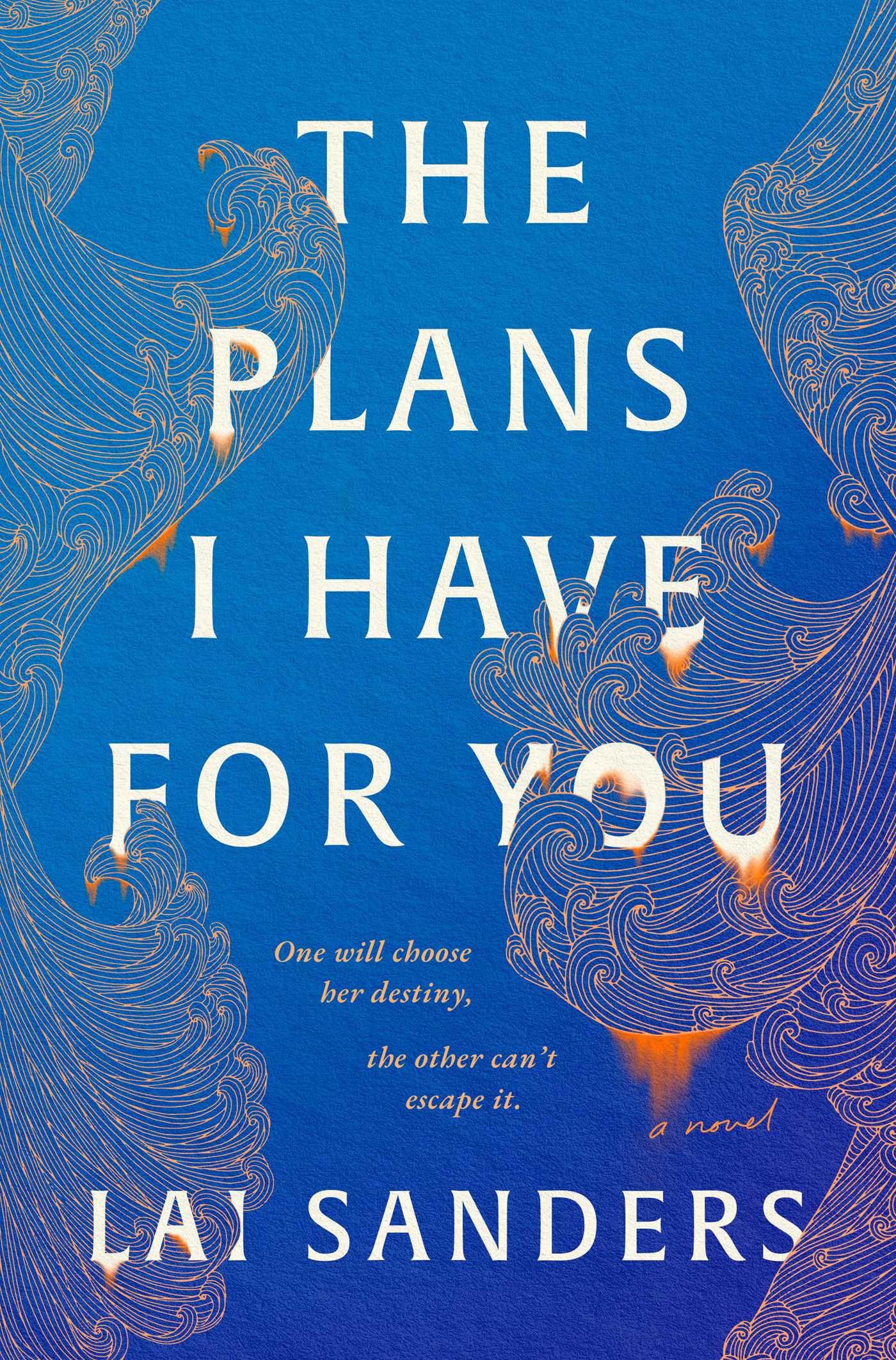 The Plans I Have For You: A Novel