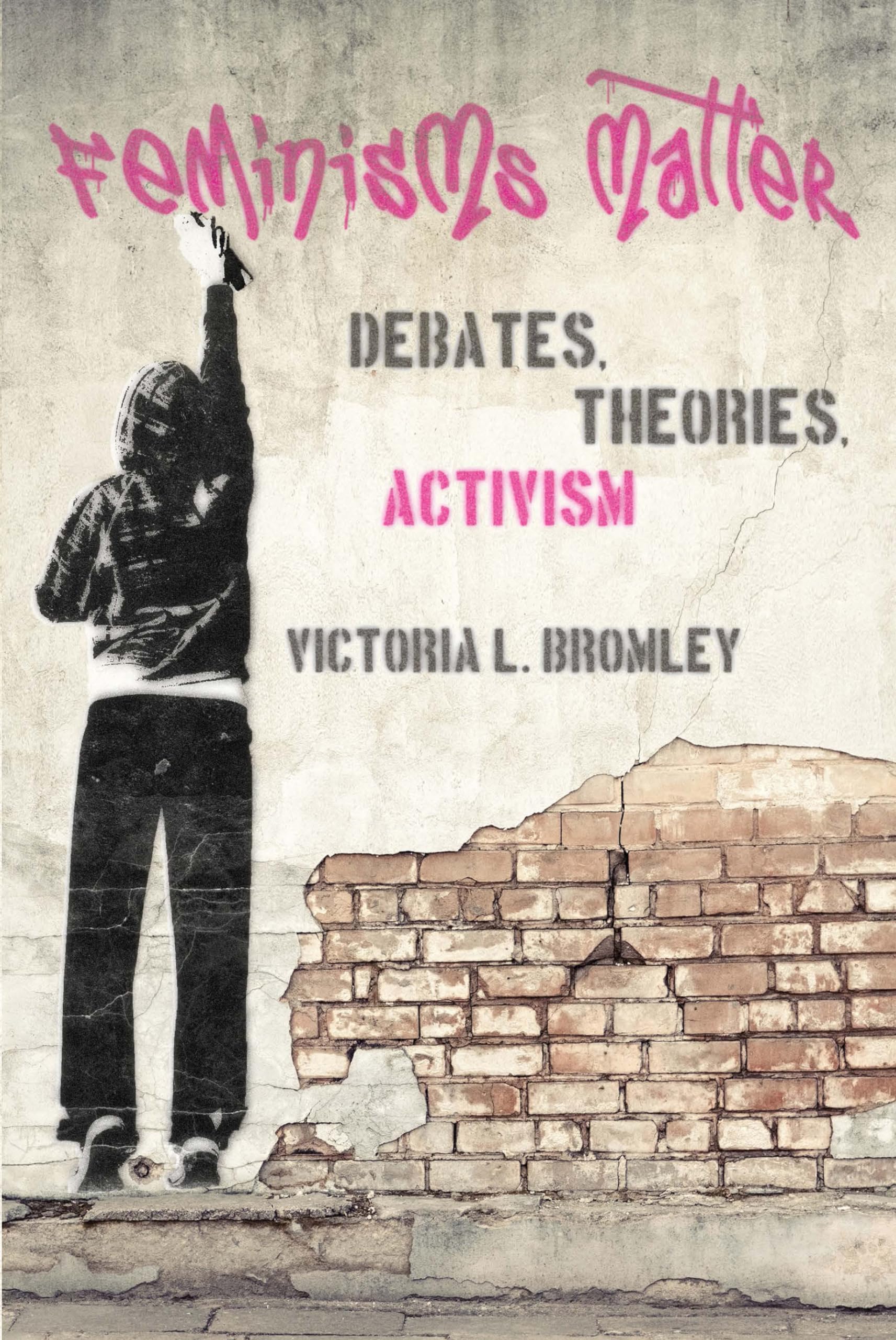 Feminisms Matter: Debates, Theories, Activism,New