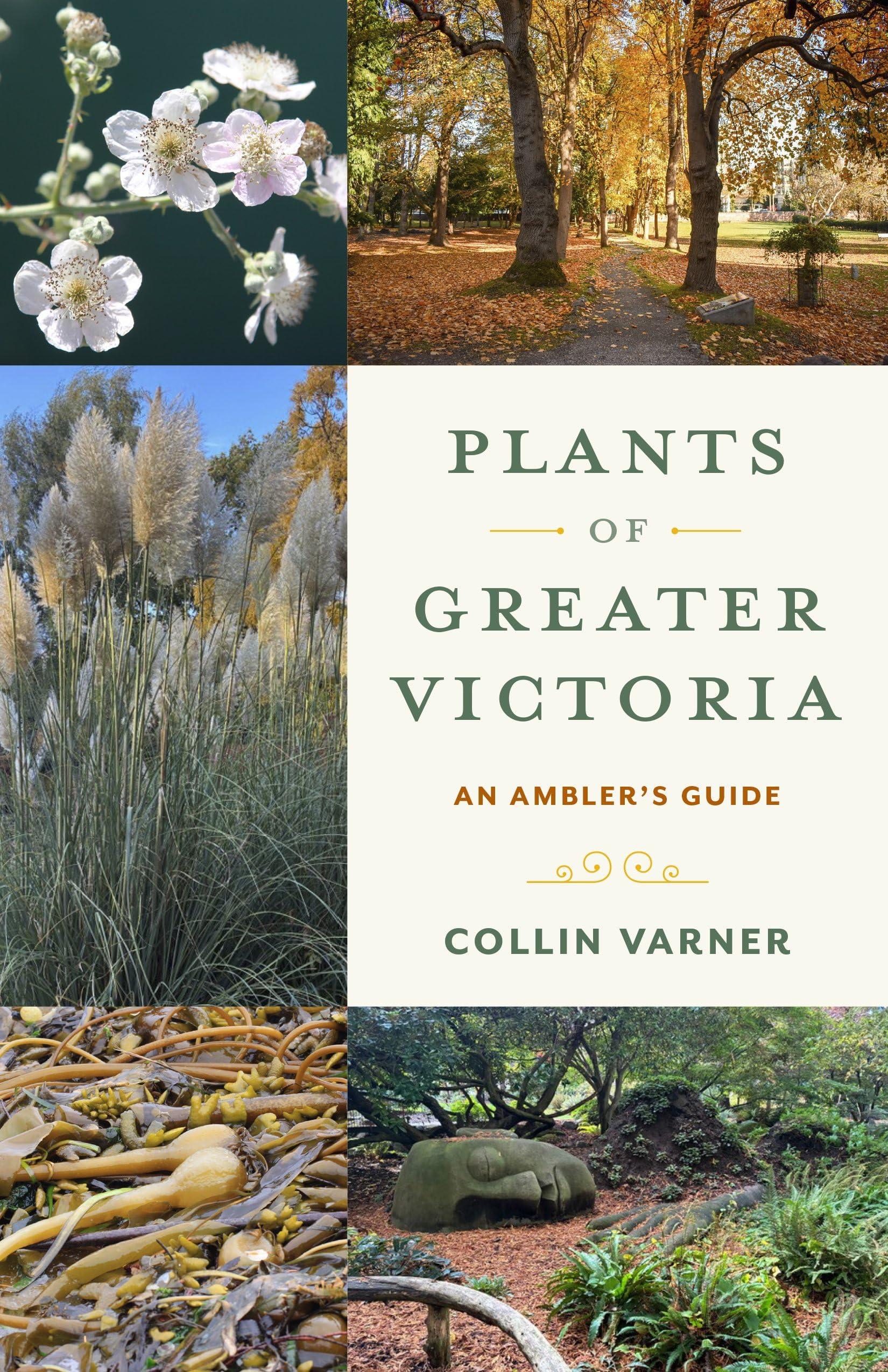 Plants Of Greater Victoria: An AmblerS Guide