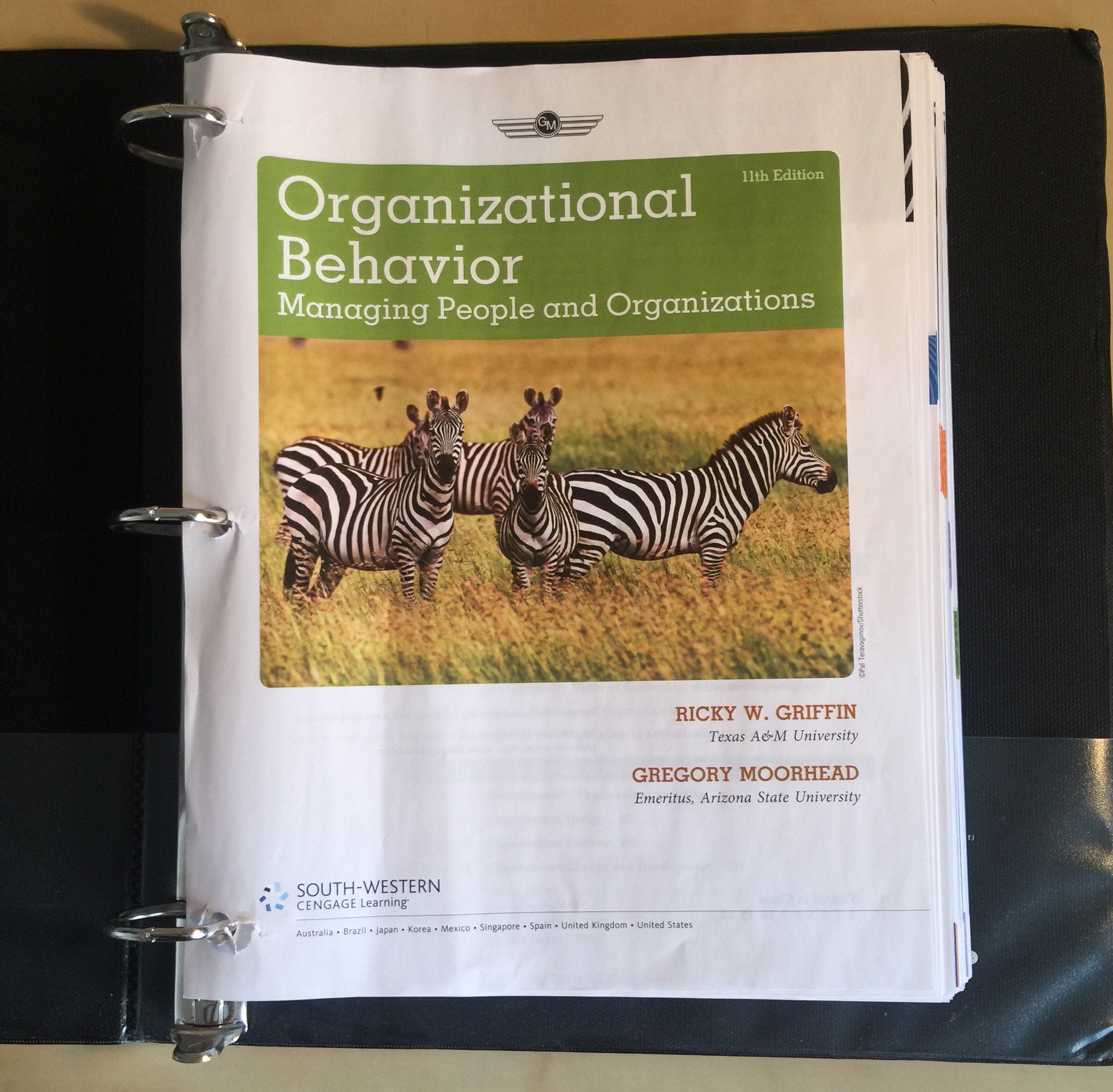 Organizational Behavior: Managing People and Organizations,New
