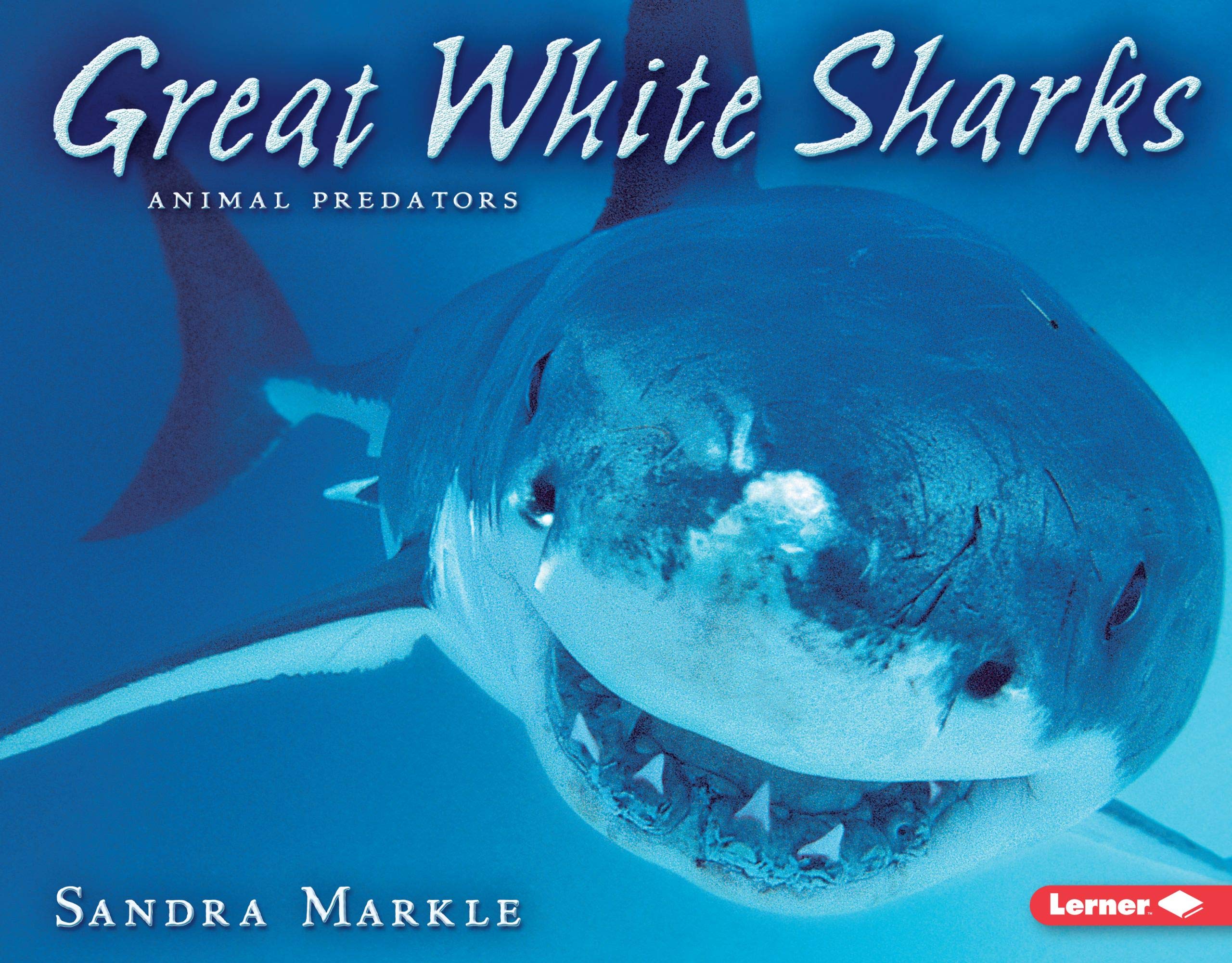 Great White Sharks (Animal Predators),New