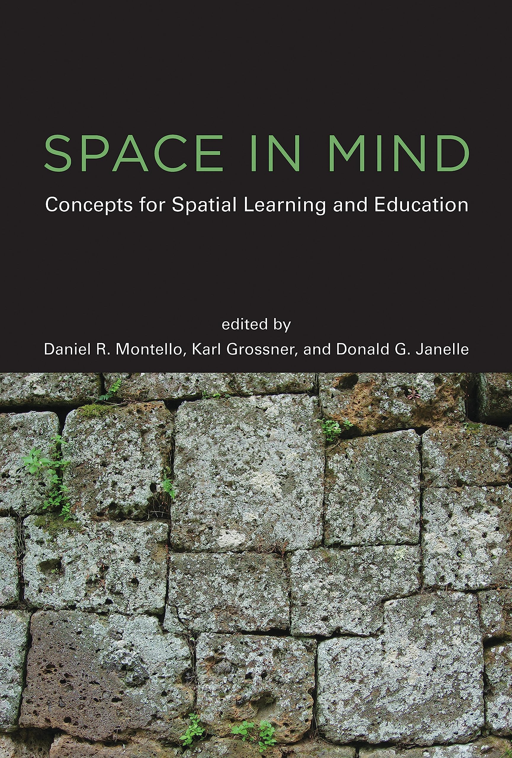 Space in Mind: Concepts for Spatial Learning and Education,Used