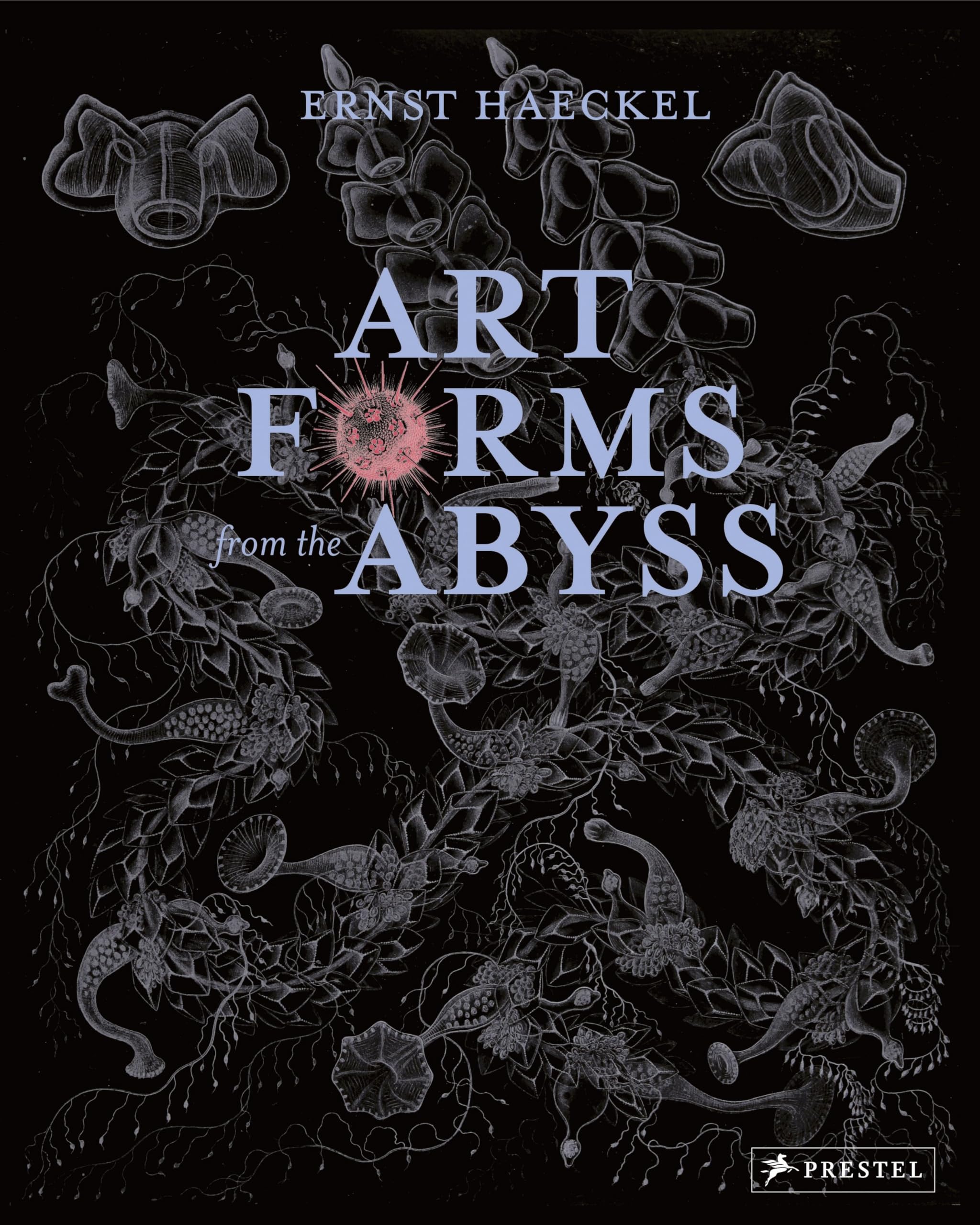 Art Forms from the Abyss: Ernst Haeckel's Images From The HMS Challenger Expedition,Used