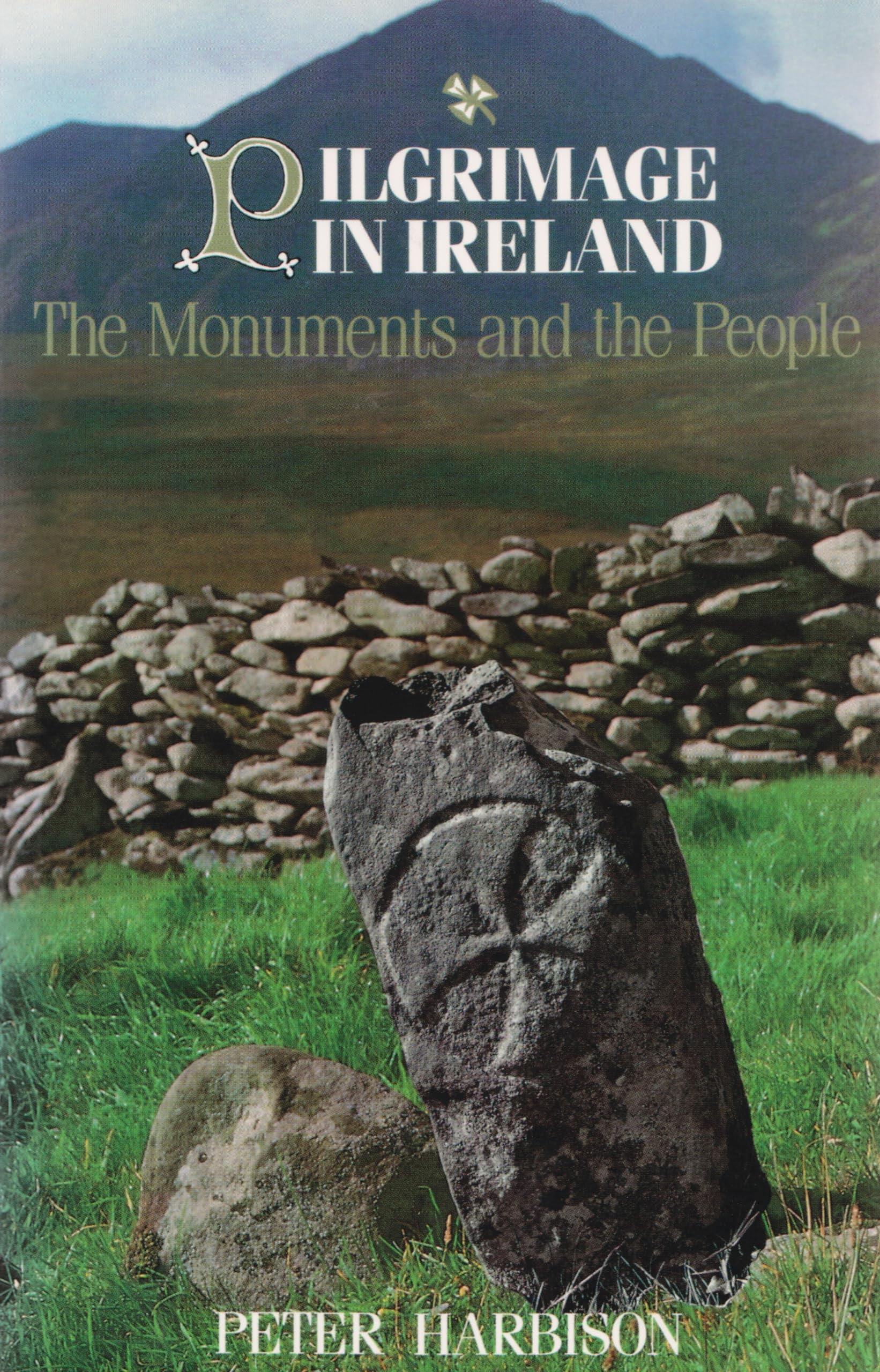 Pilgrimage In Ireland: The Monuments And The People (Irish Studies),Used