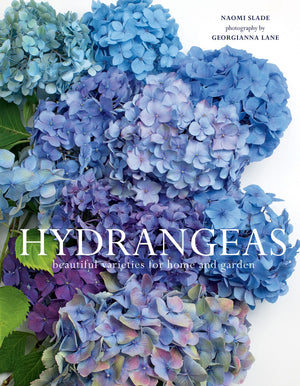 Hydrangeas: Beautiful Varieties for Home and Garden,Used