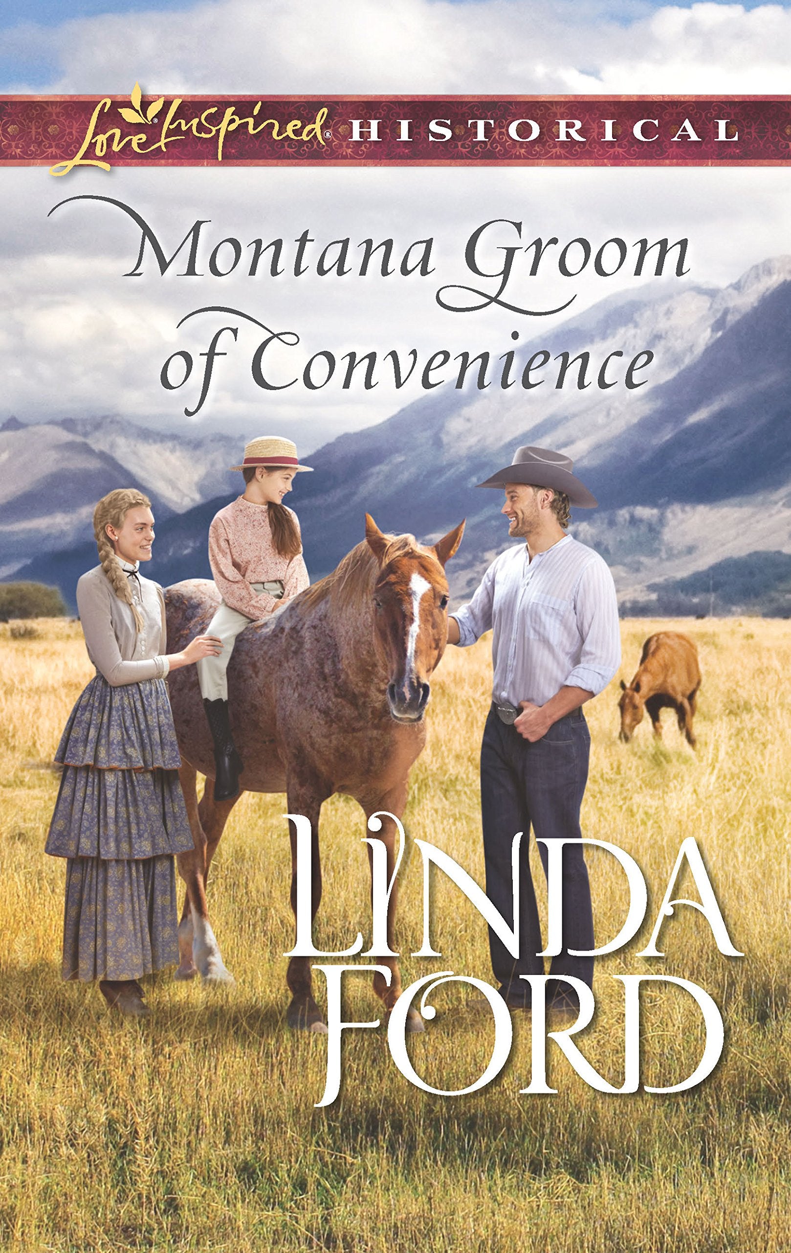 Montana Groom of Convenience (Big Sky Country, 5),Used