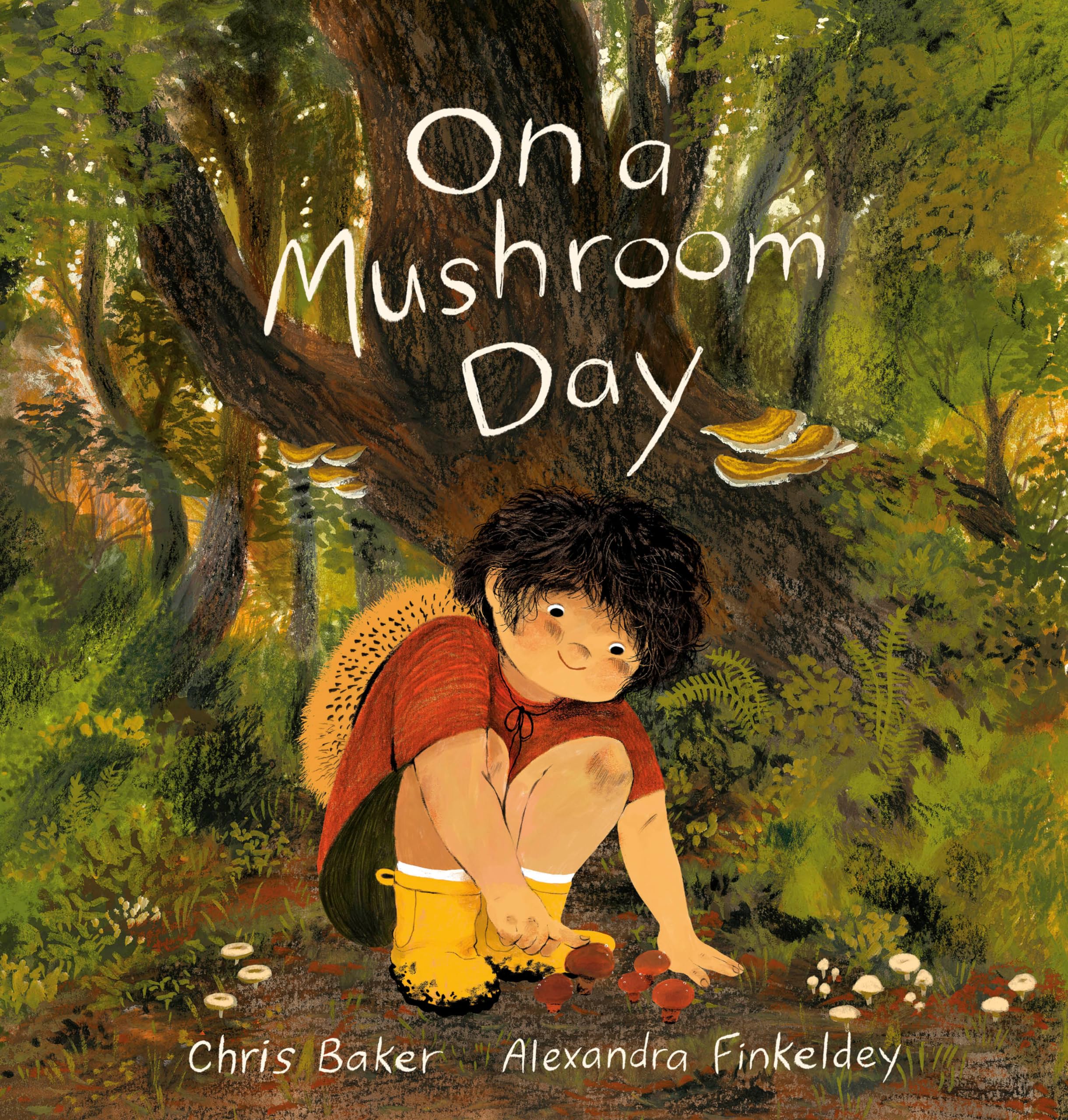 On A Mushroom Day,Used