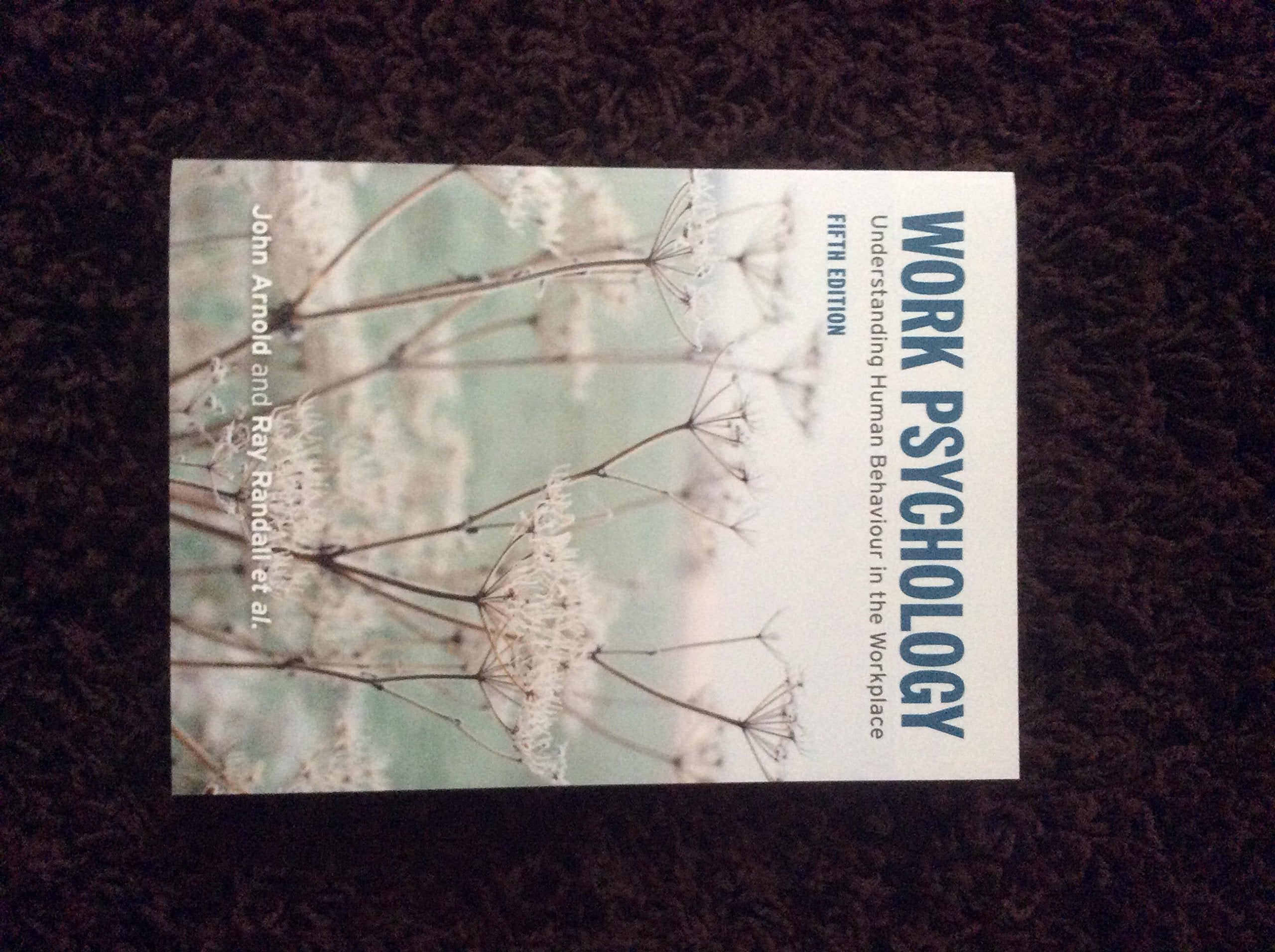 Work Psychology (5th Edition),Used