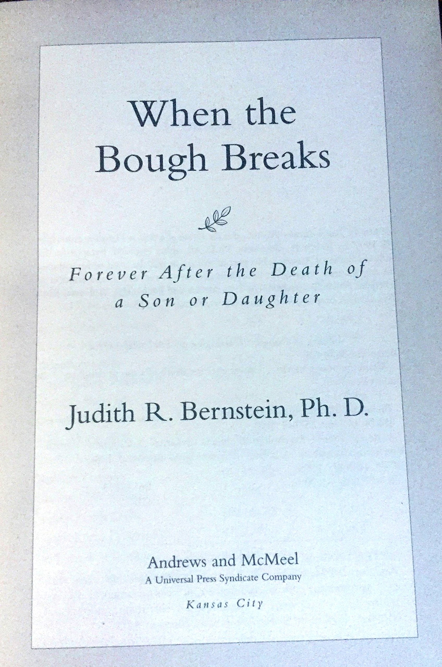 When the Bough Breaks: Forever After the Death of a Son or Daughter,New