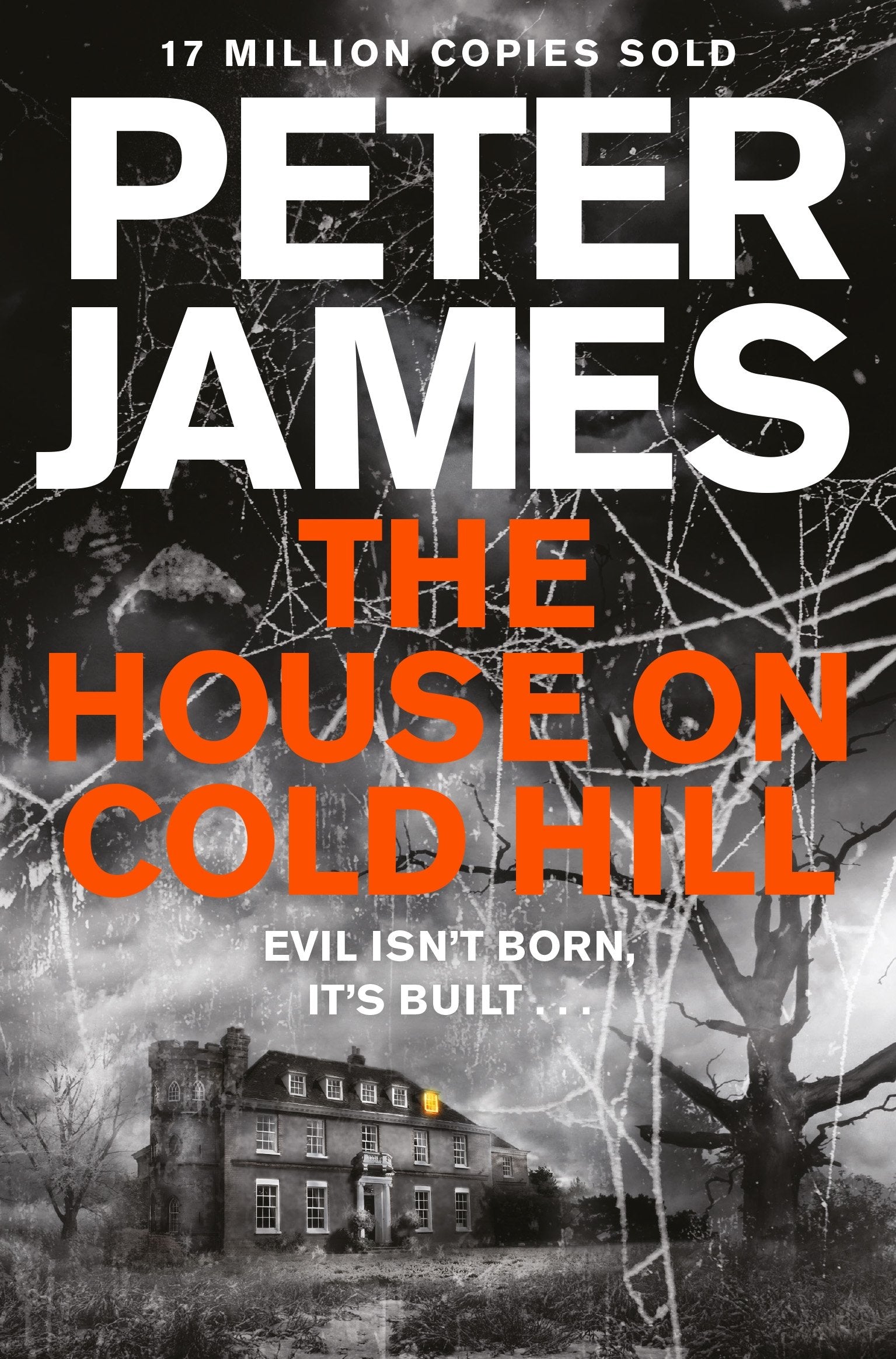The House on Cold Hill,Used