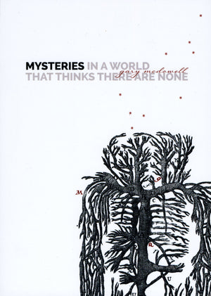 Mysteries In A World That Thinks There Are None,Used