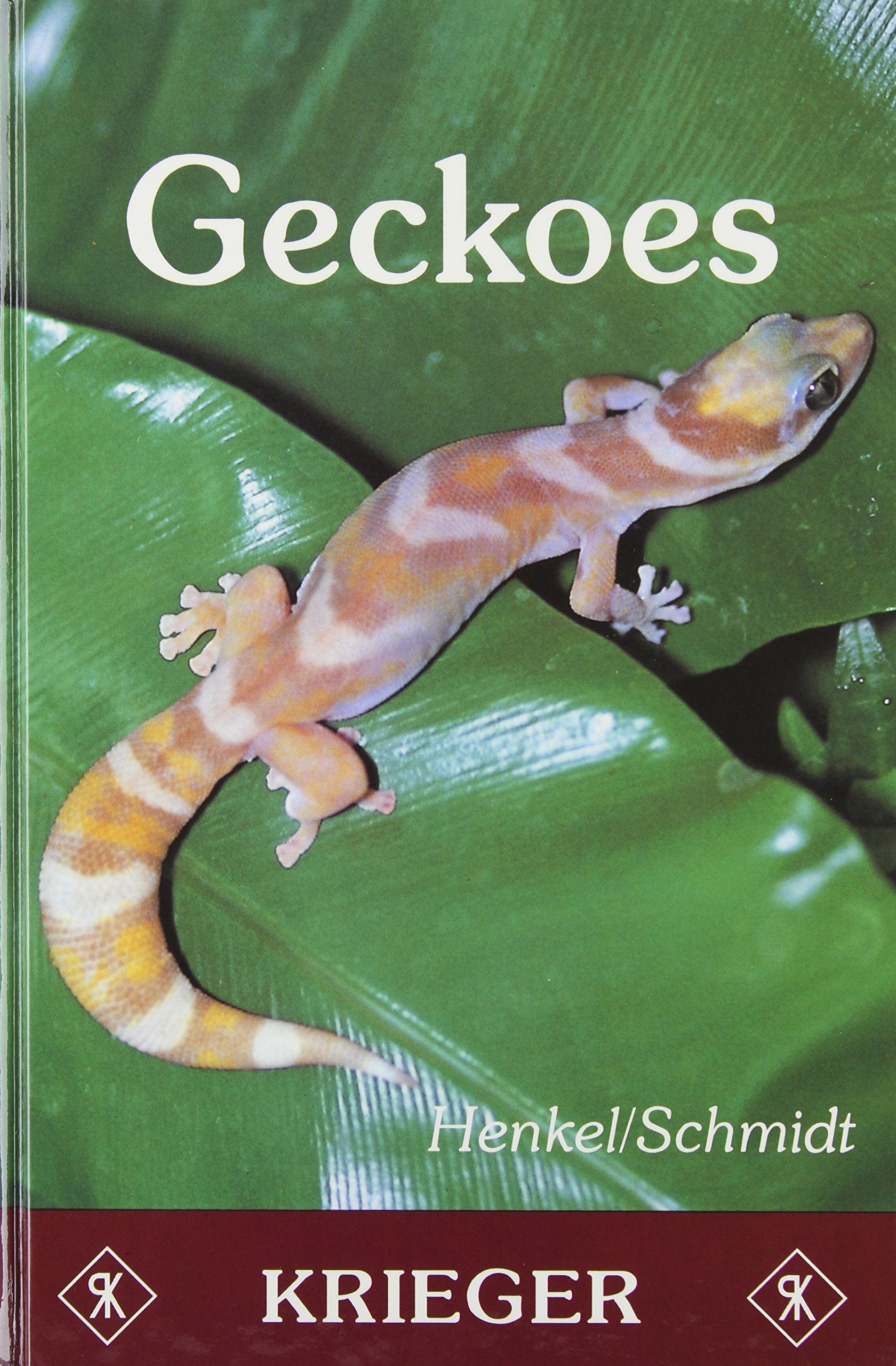 Geckoes: Biology, Husbandry, and Reproduction,Used