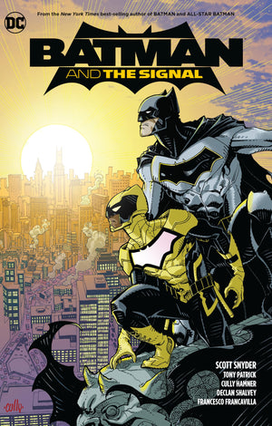 Batman And The Signal