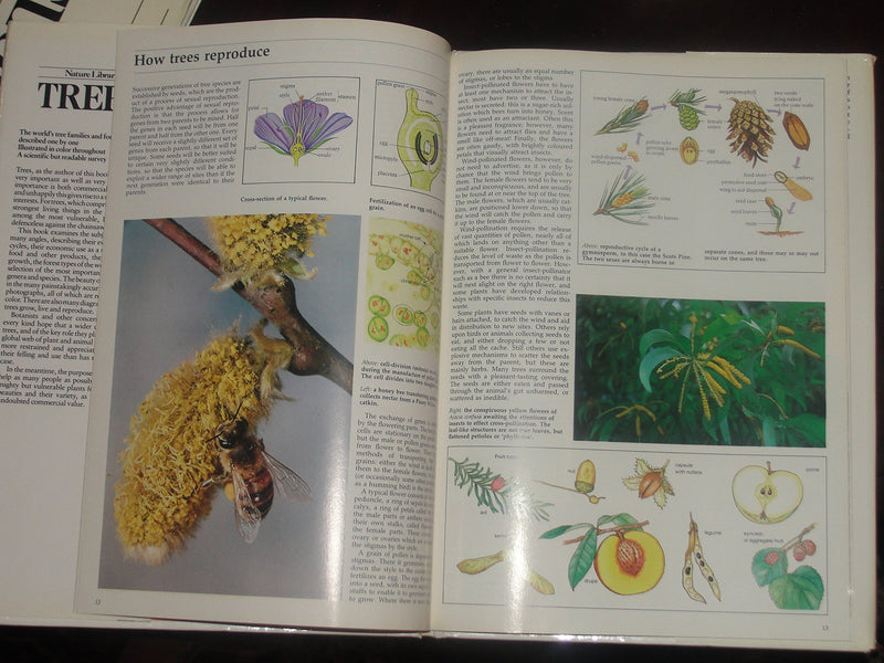 The Illustrated Book of Trees and Shrubs,Used