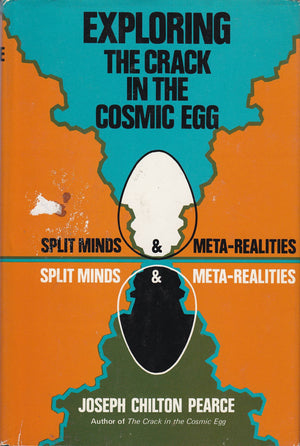 Exploring The Crack In The Cosmic Egg: Split Minds and MetaRealities,Used
